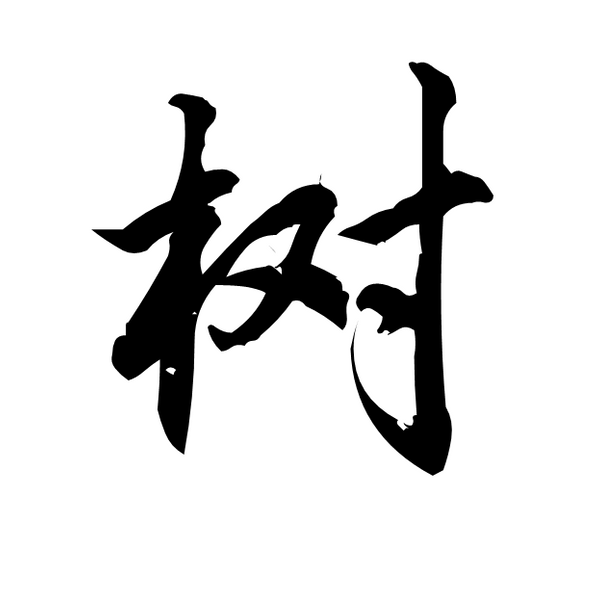 树素私品 头像