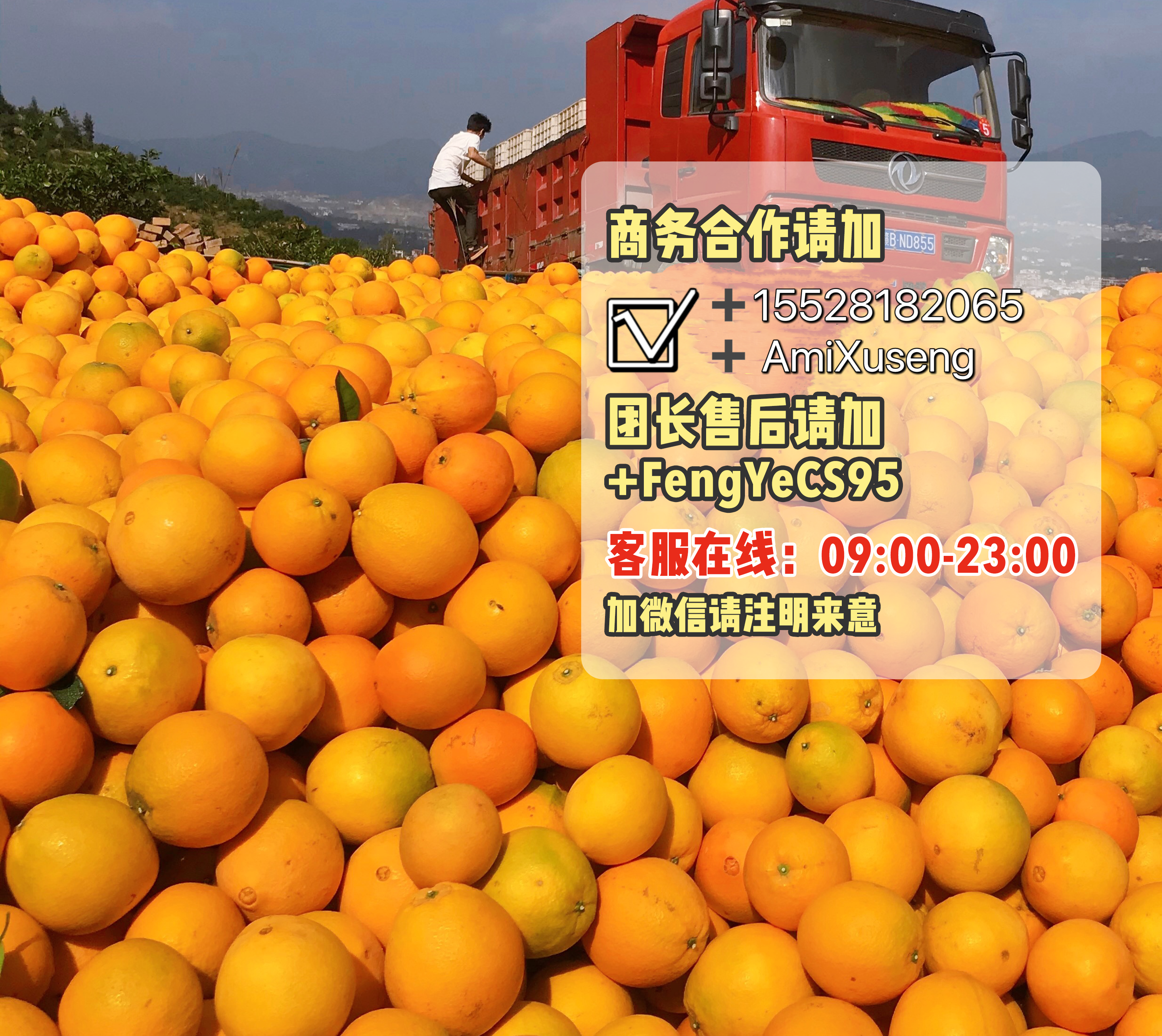 阿迷高品质团💰（复工版 的封面
