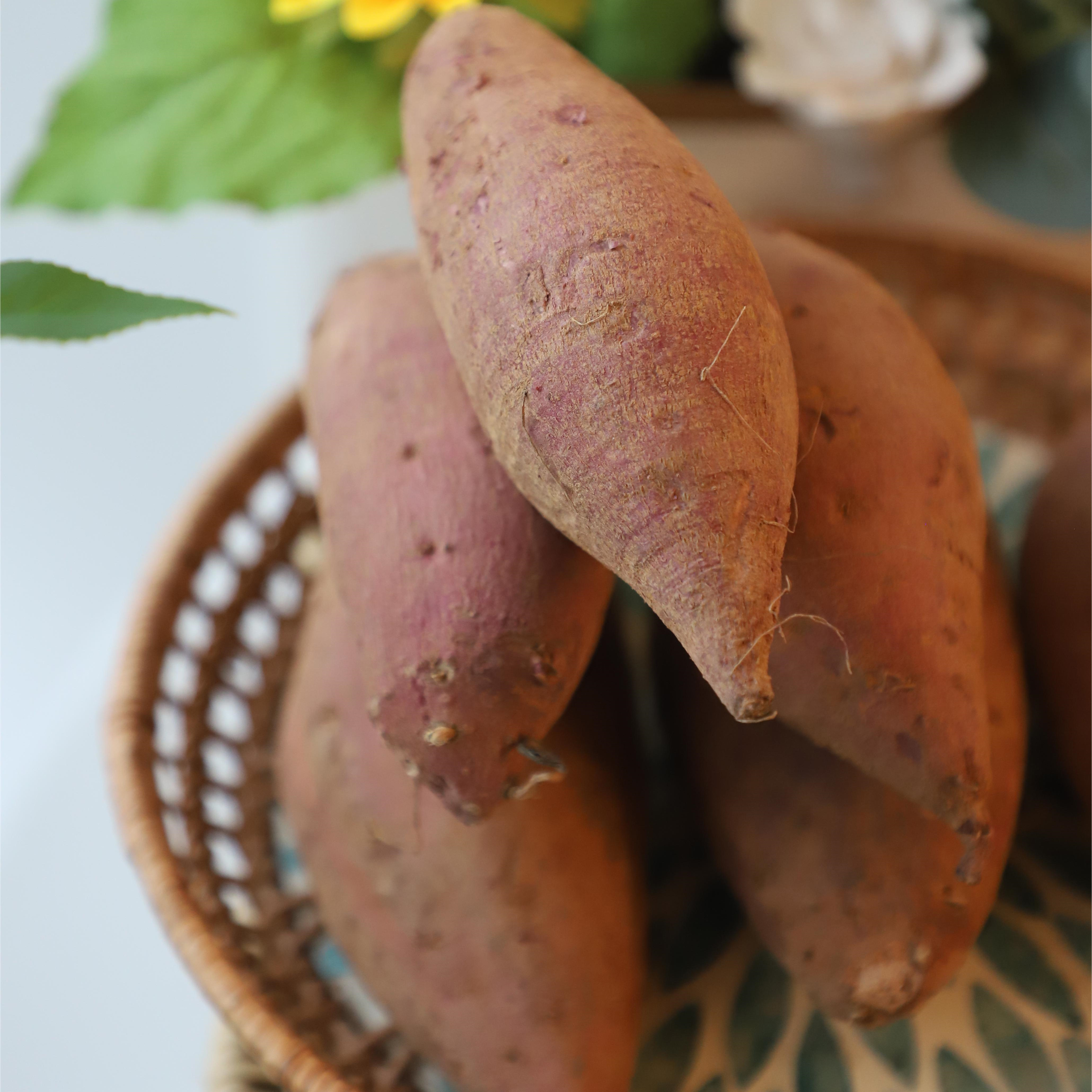 蜜糖紫薯：金沙江畔的甜糯诗篇