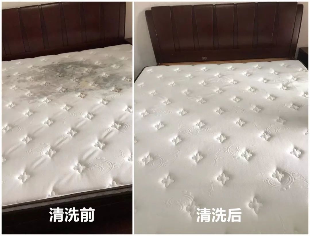 【大红家政】床垫清洗