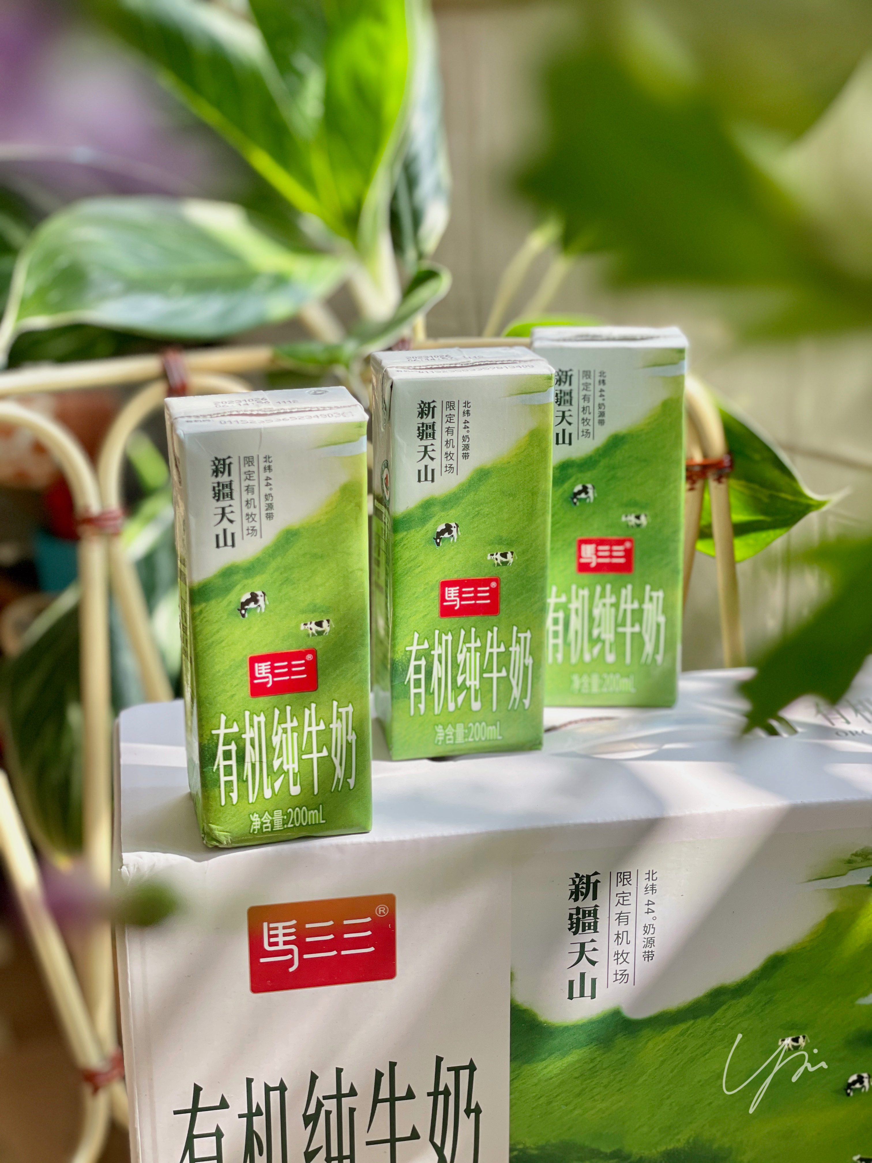 天山脚下的一口醇香：马三三有机纯牛奶，唤醒味蕾的自然诗