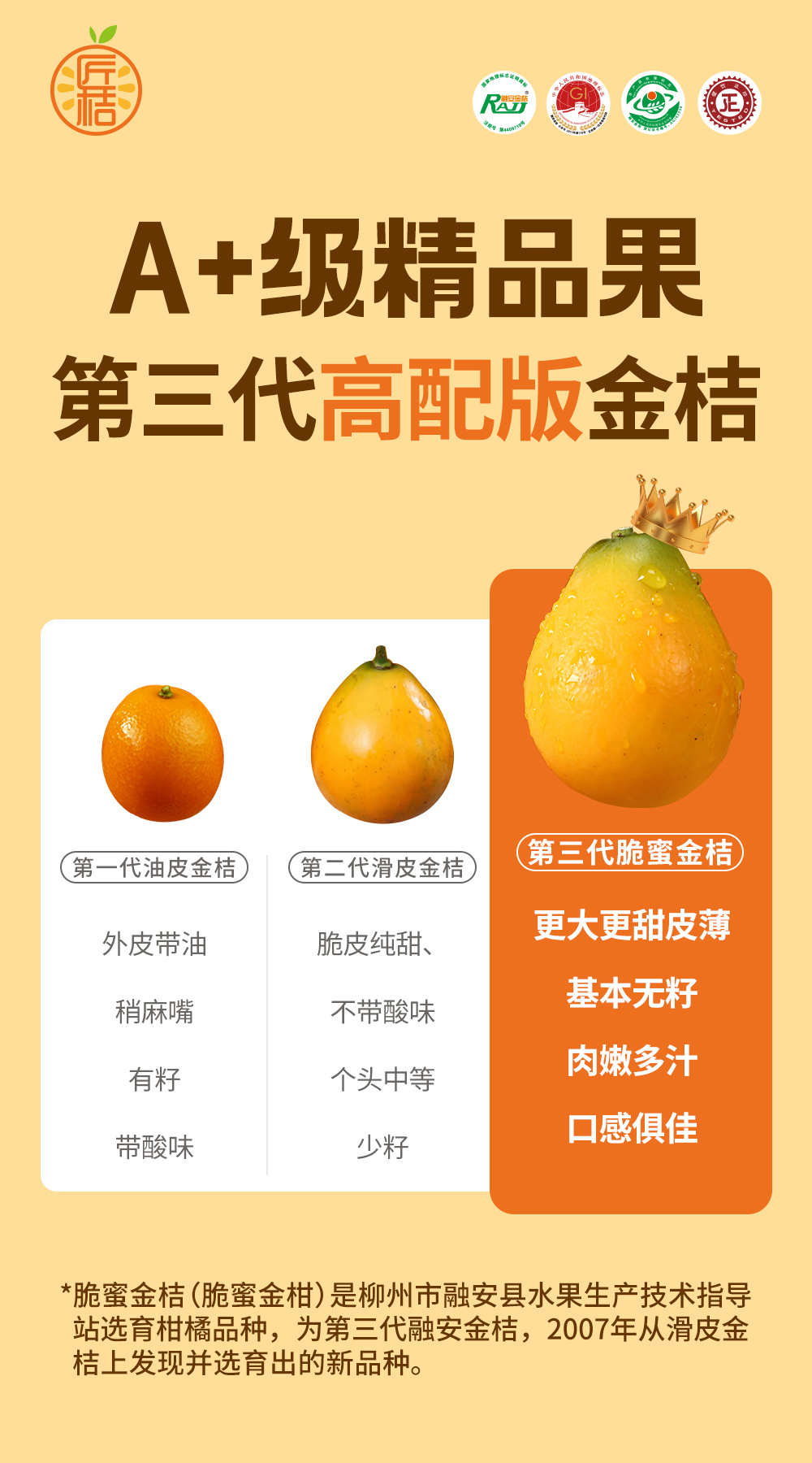 冬日糖心：一颗小小金桔的温暖奇遇