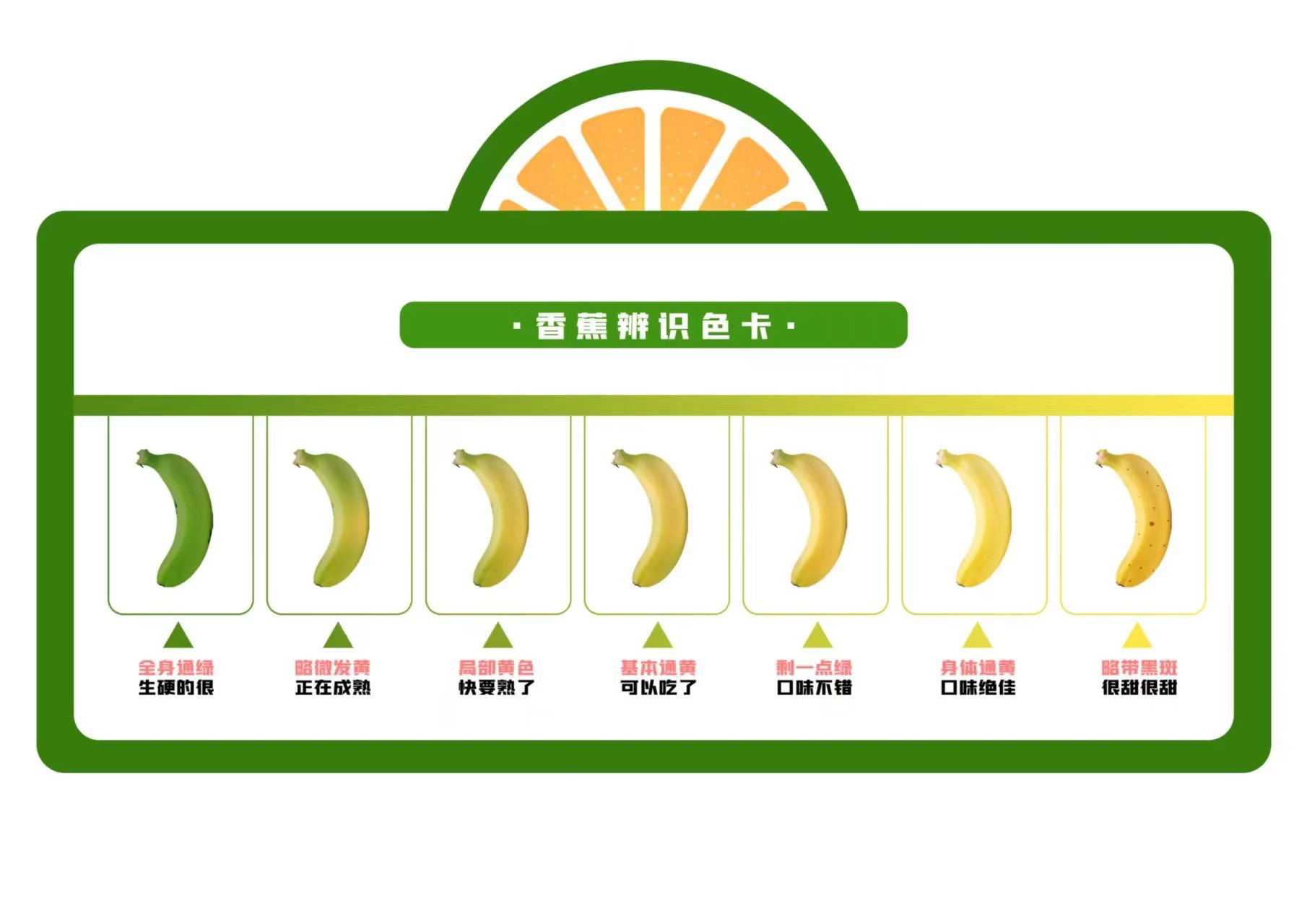 一串讲缘分的香蕉，满载自然的甜蜜与温暖