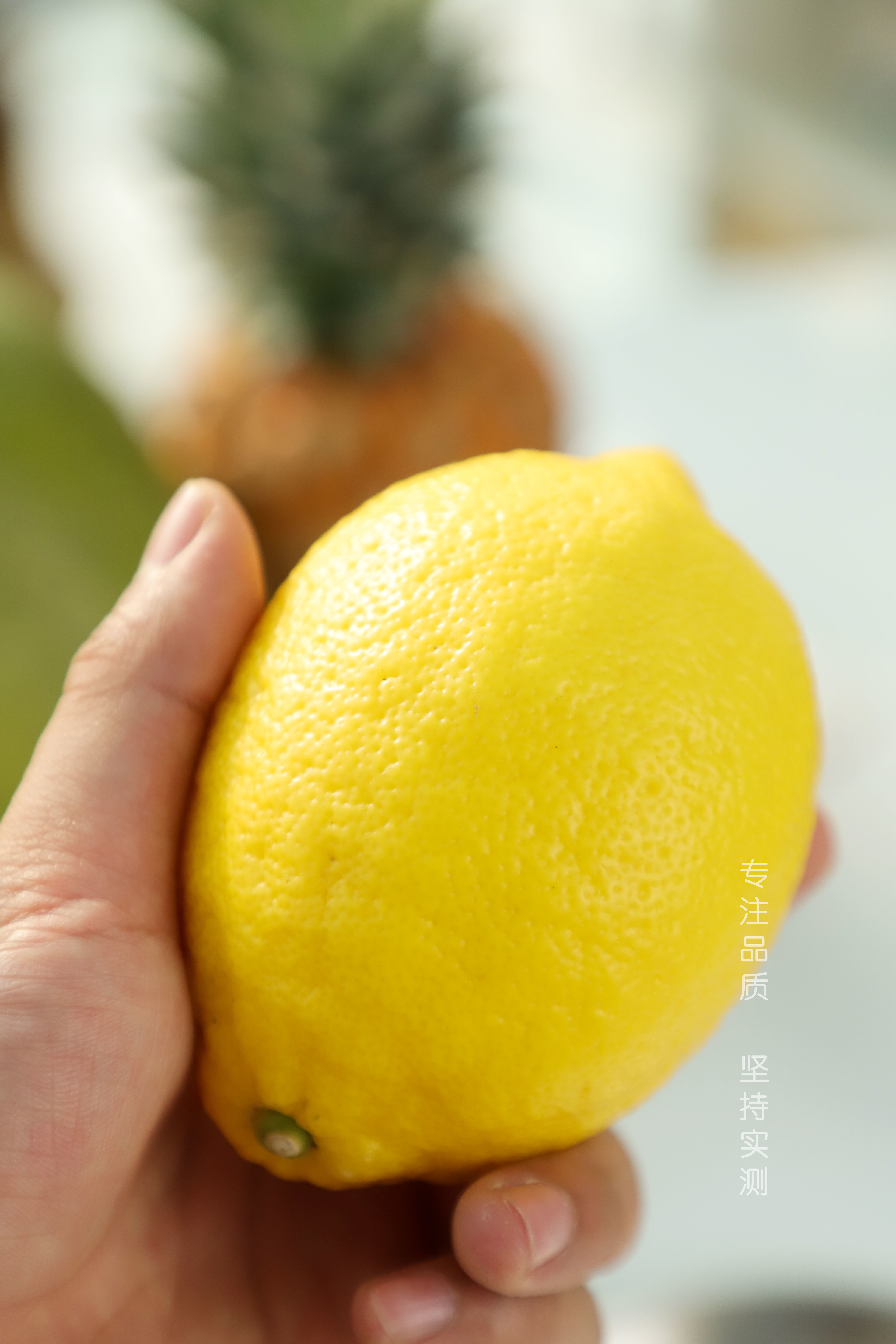 603汇达柠檬：从潼南到世界，香气四溢的自然馈赠
