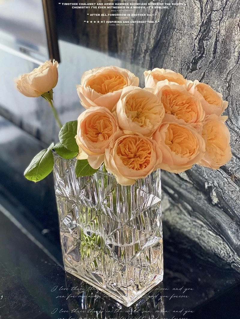 29.9元的花瓶，折射生活的光