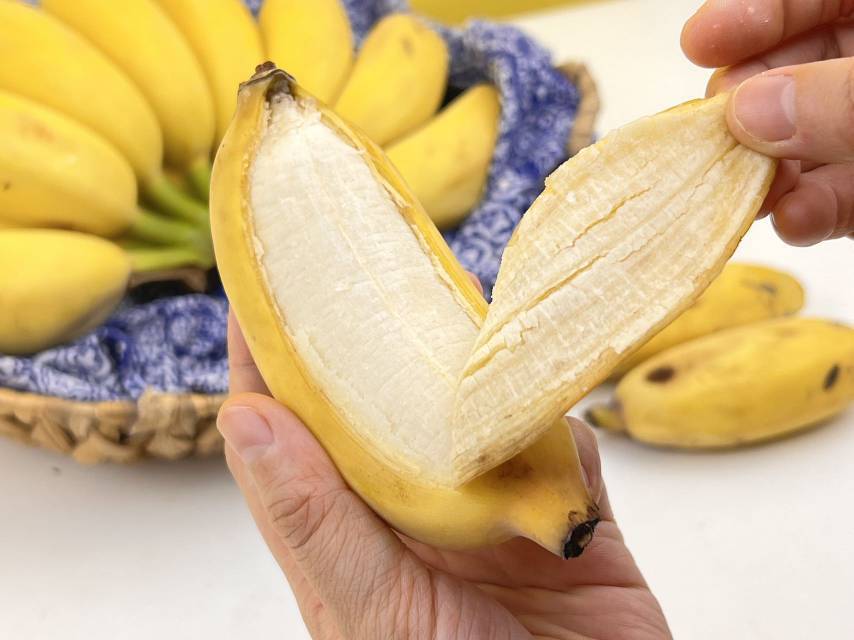 嘟嘟蕉：藏在香蕉皮里的快乐哲学