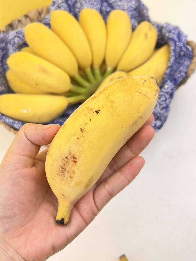 咬一口阳光，尝到东坡的豁达——遇见会微笑的嘟嘟蕉