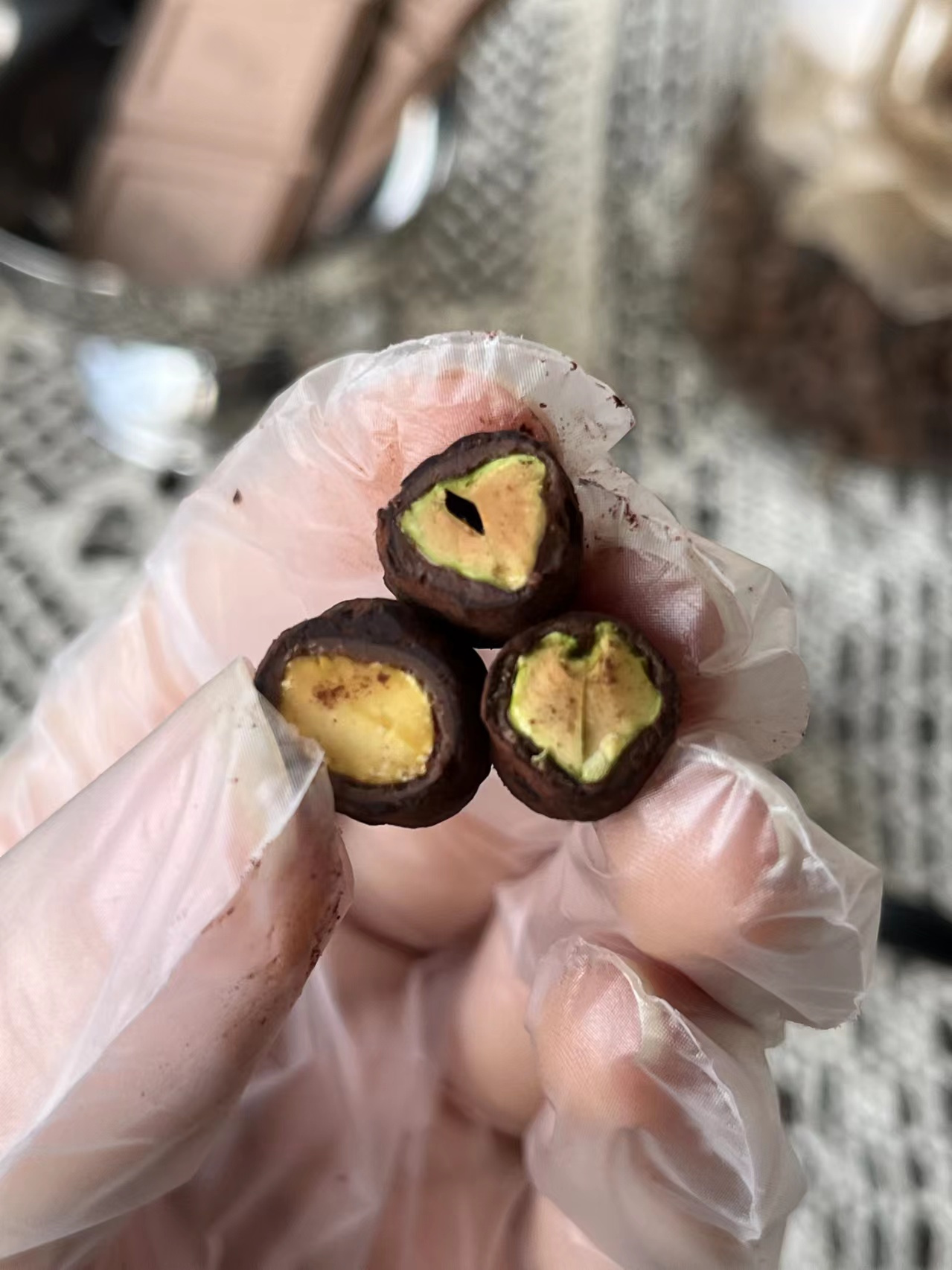 斑马与巧礼罐：藏在甜蜜里的世界史与小欢喜