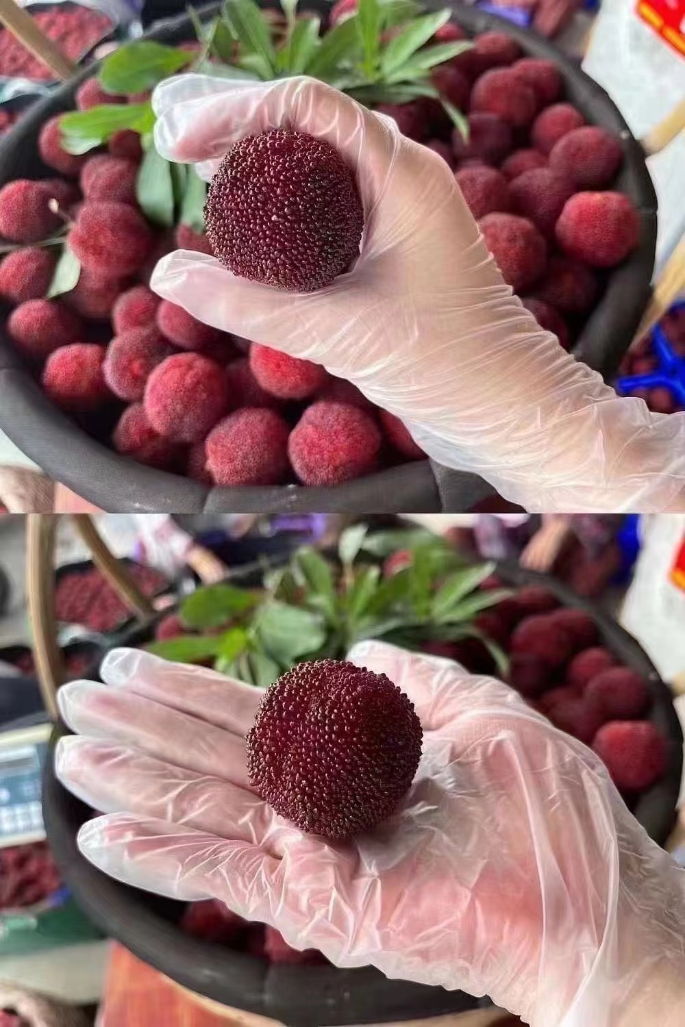 仙居东魁杨梅：舌尖上的千年风雅，一颗红艳醉江南