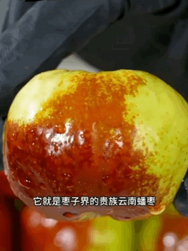 云南高原蟠枣，遇见甜蜜与脆爽的奇迹