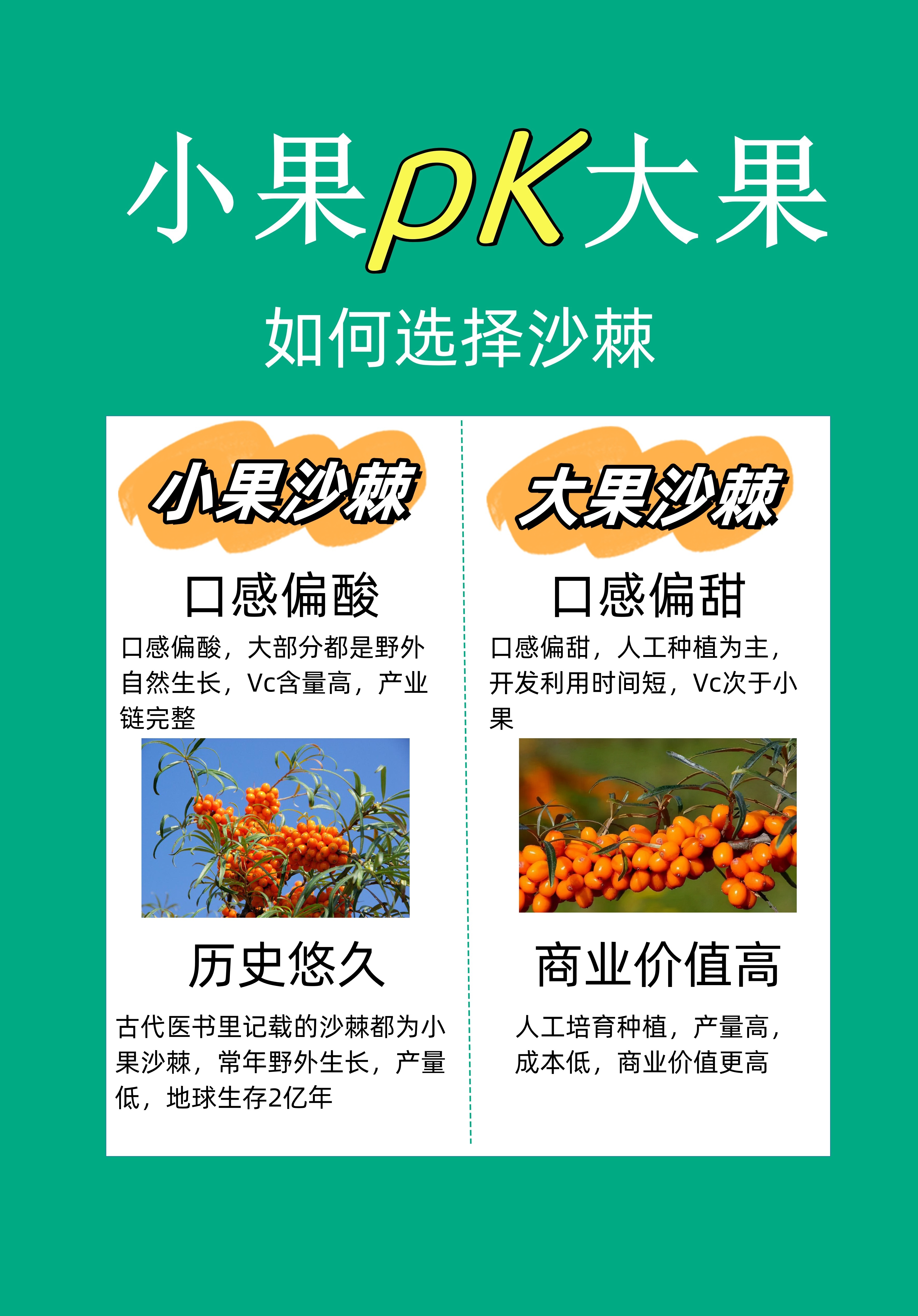 敖汉旗的黄金馈赠：野生沙棘原浆里藏着一部2亿年的史诗