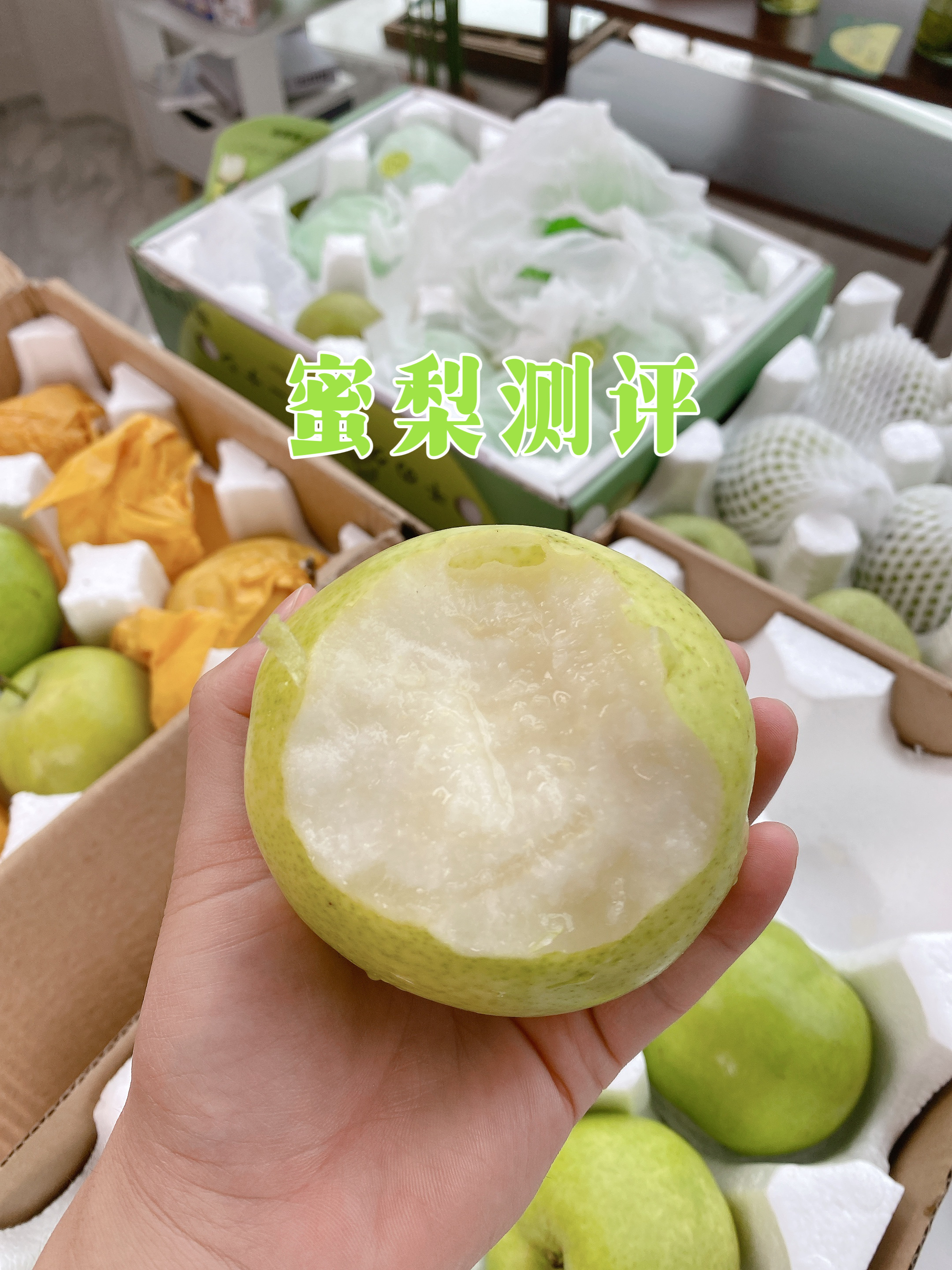 砀山老树蜜梨：咬一口黄河故道的三千年清甜