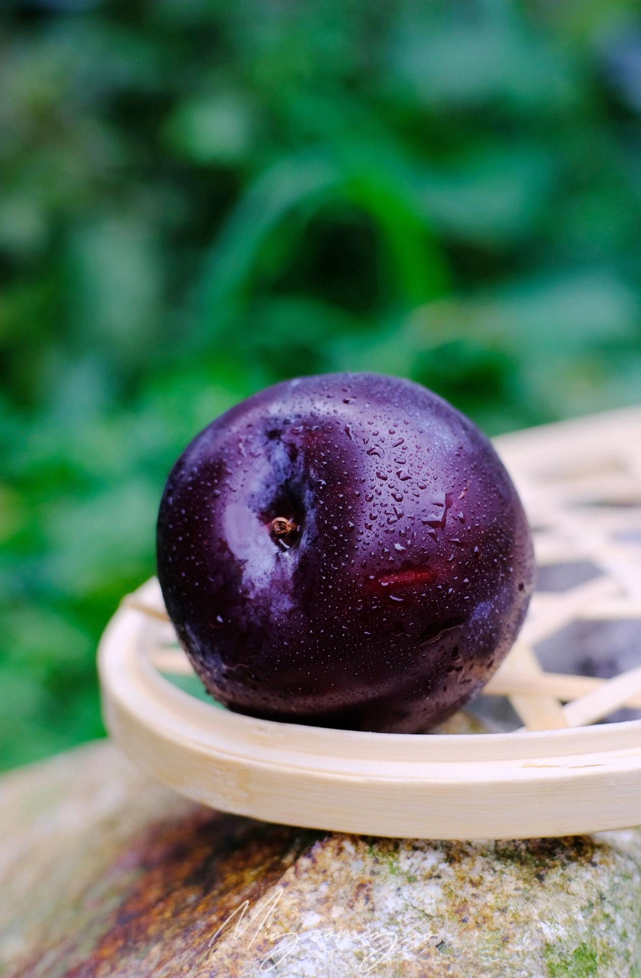 玫香蜜李2号：咬一口秦岭的风，咽下半抹盛唐的甜