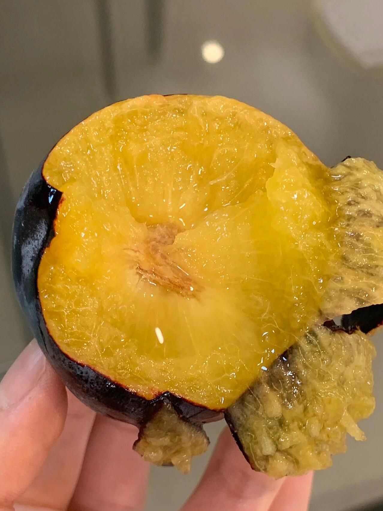 玫香蜜李2号｜入口即化的清甜，不只是李子的味道