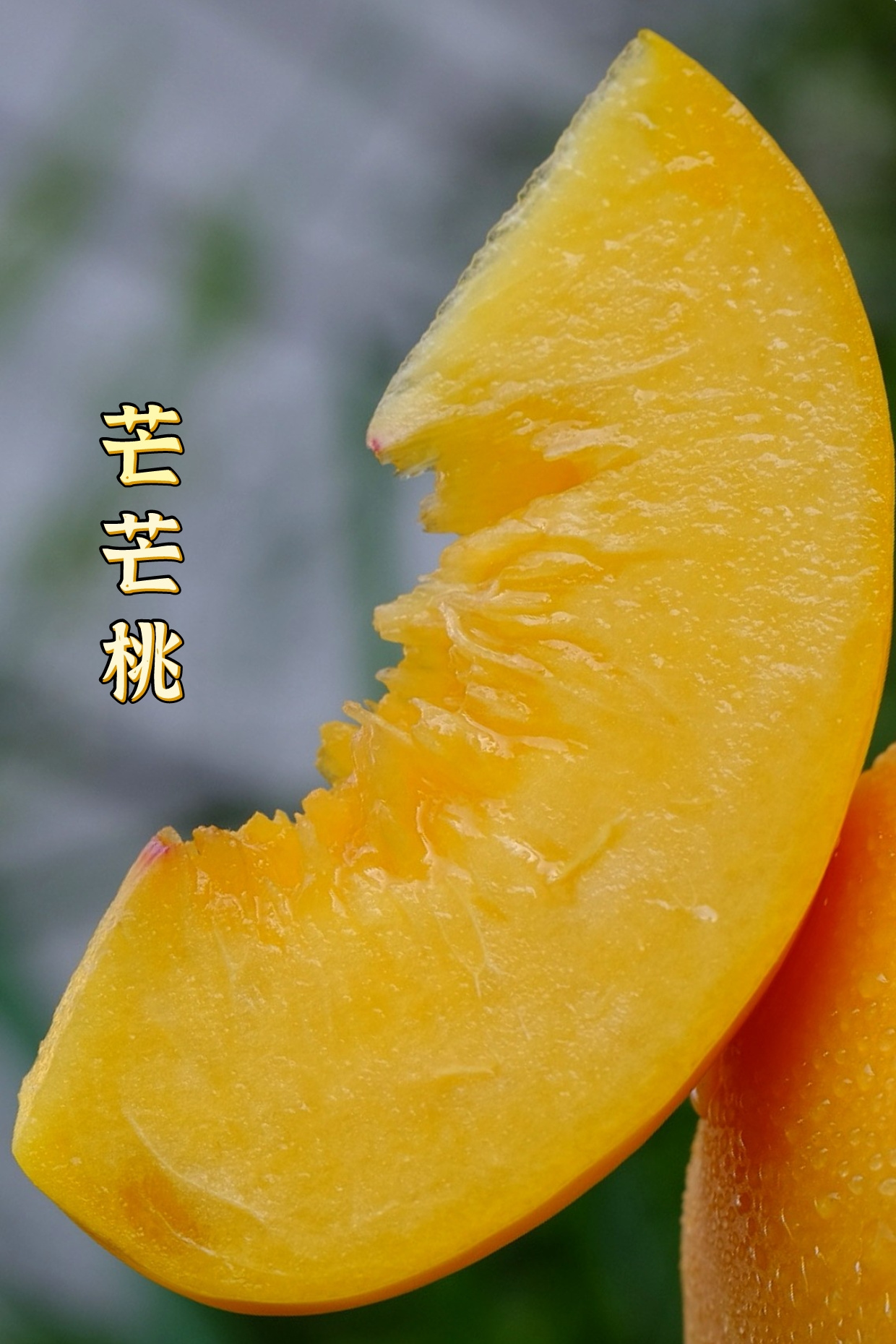 芒芒桃 | 一口吃进夏天的柔软与惊喜