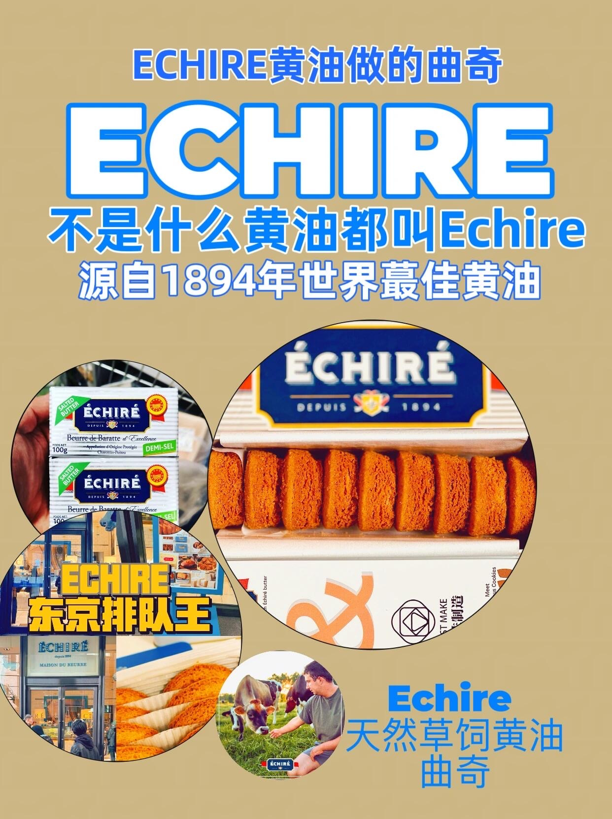 Zestmake艾许曲奇：藏在曲奇里的温柔，是奶香，是理解