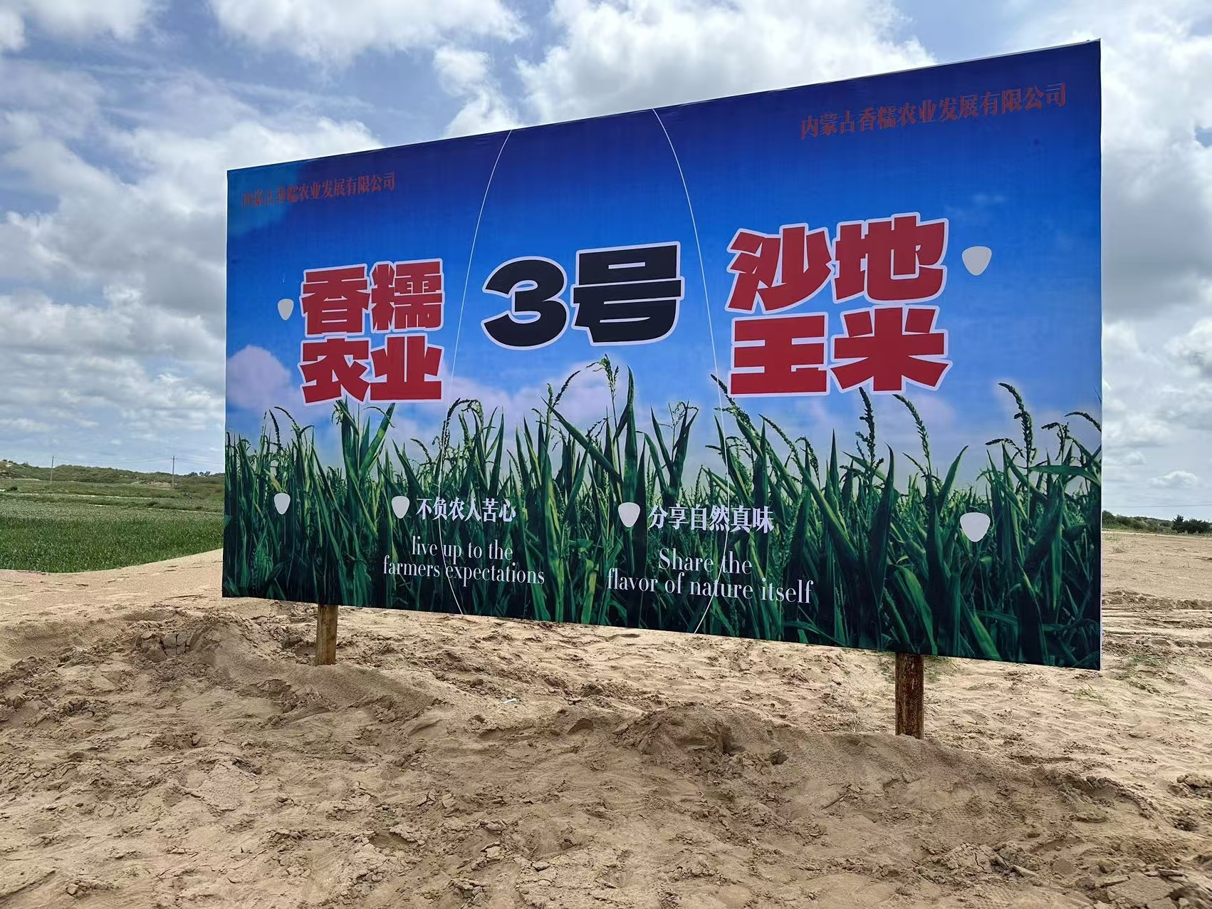 甜糯敖汉玉米，给你满满的幸福味道