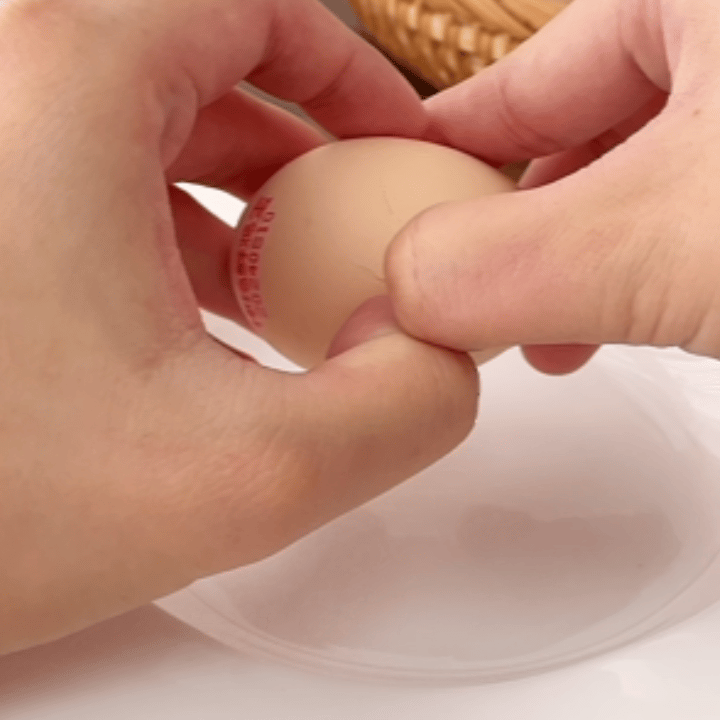 一枚神奇的鸡蛋，温暖你的餐桌