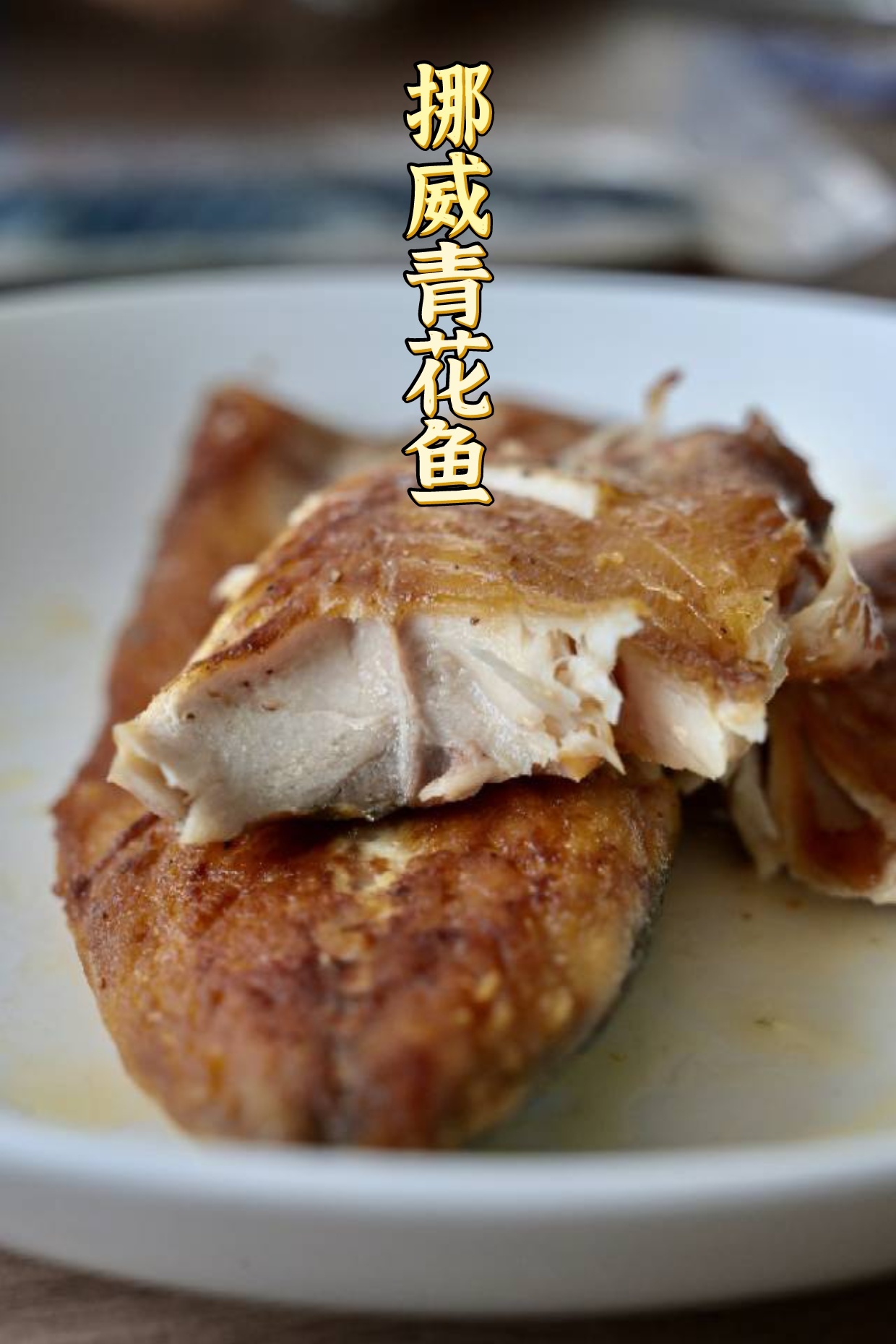 一条青花鱼，藏着挪威的深海秘密