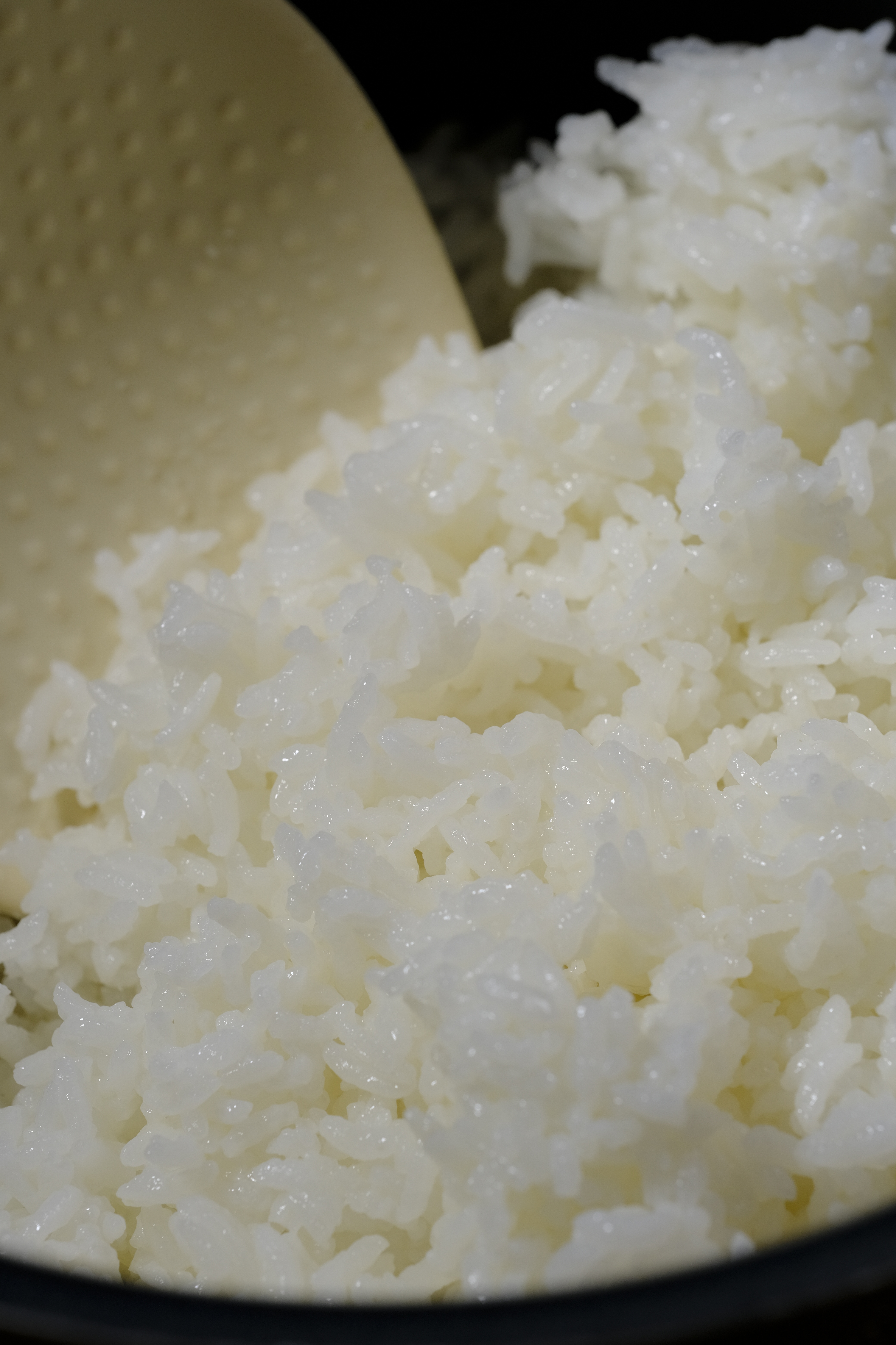 一碗五常大米的时光漫游：从黑土地到舌尖的千年风雅