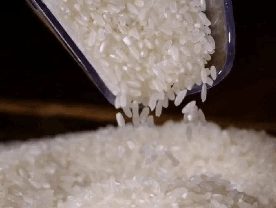 五常大米：黑土地长出的千年诗意，一碗能嚼出阳光的粮食