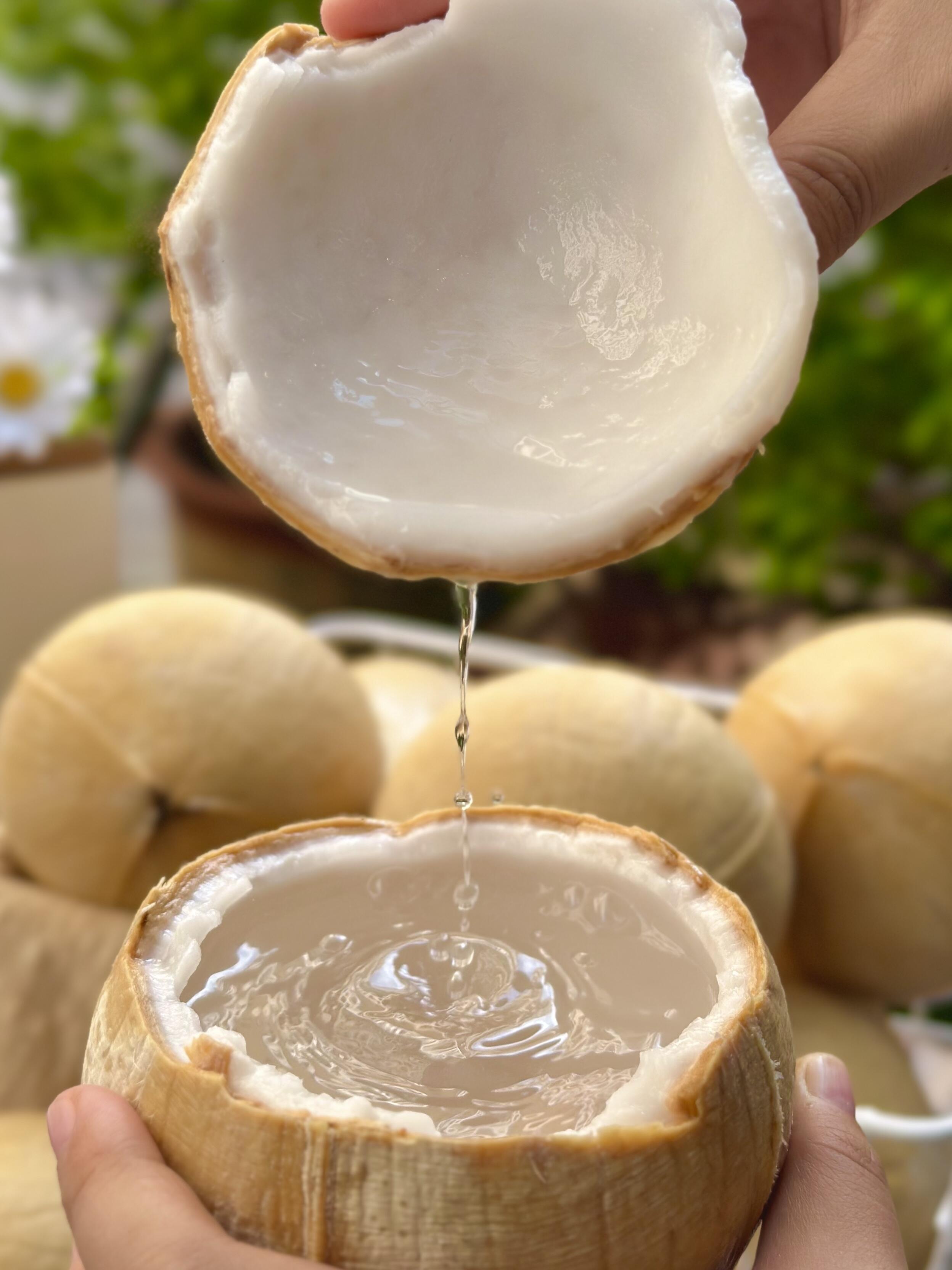 一口泰国椰皇，尝尽树上清泉与南洋遗韵