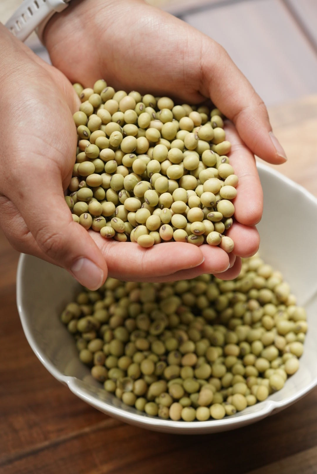 湘西青皮黄豆：一碗豆浆里的千年乡愁