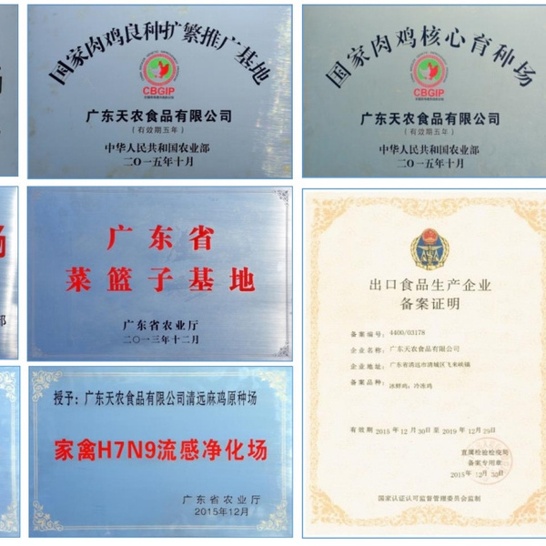 G宴头牌鸡：正宗广东清远鸡，鲜美无腥，吃得更放心