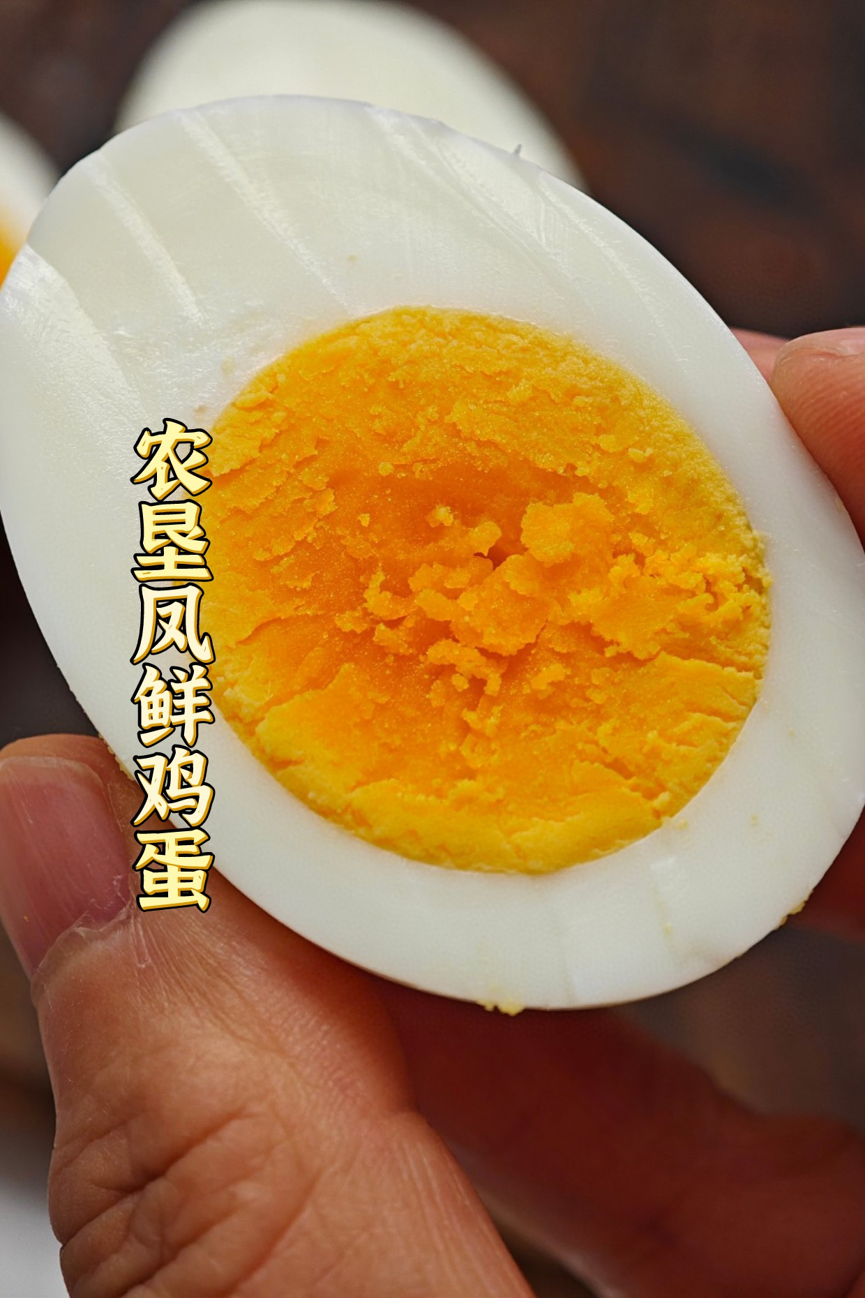 广垦凤鲜鸡蛋🥚：一枚蛋黄里的岭南风物志