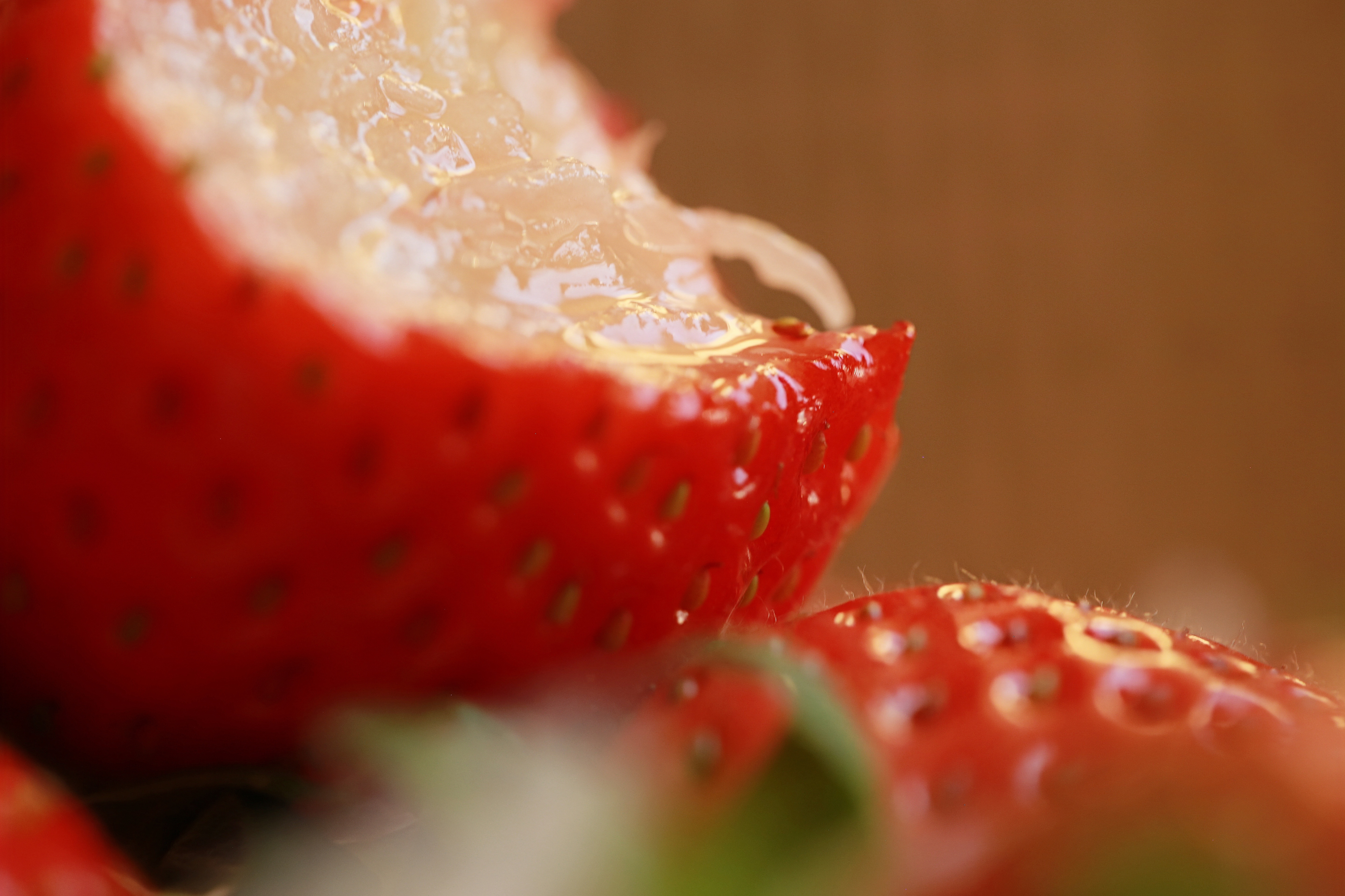 一颗草莓的慢时光：来自田间的芬芳故事