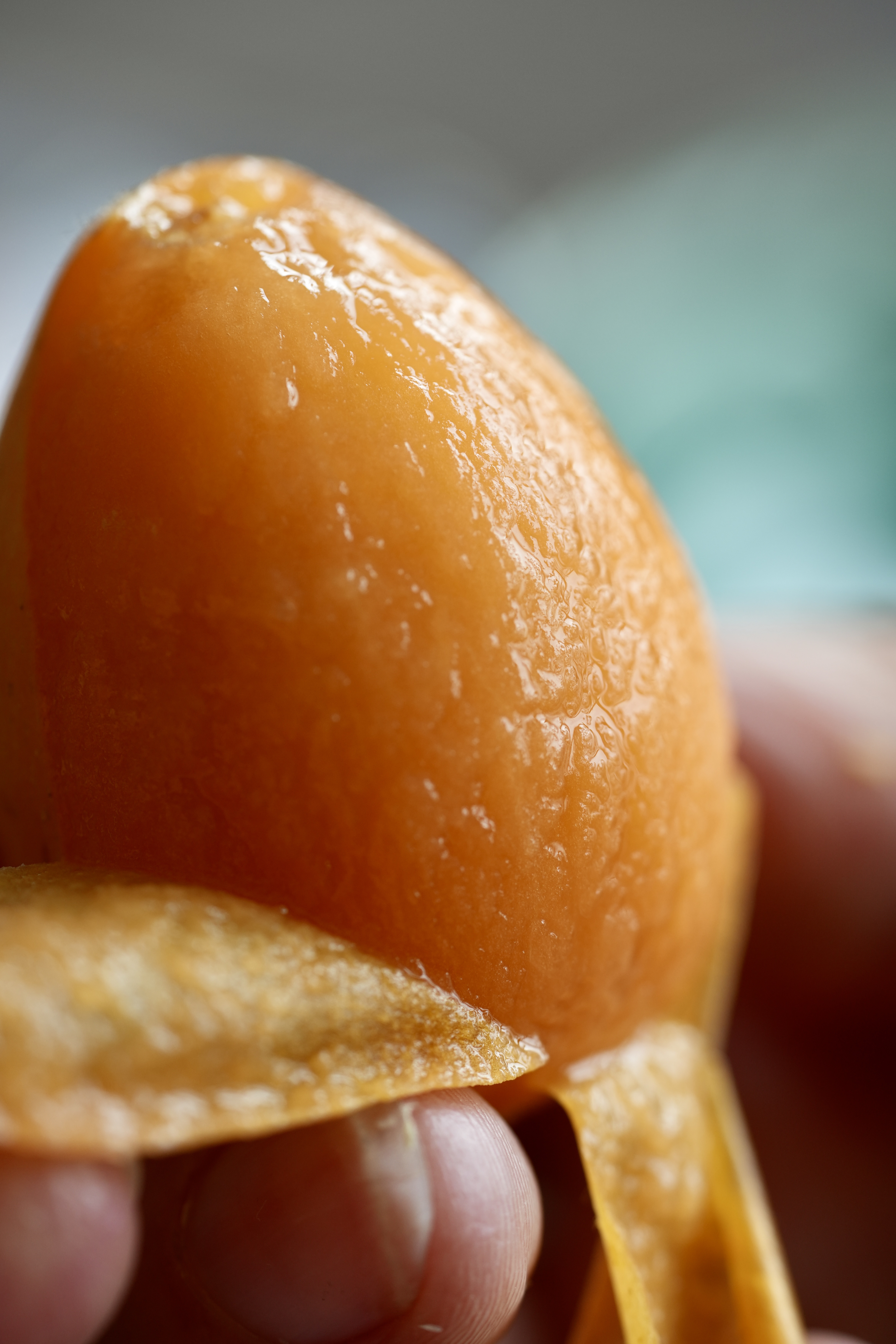 寻拾·蒙自长虹枇杷：冬日里的黄金疗愈，一口咬破干燥与疲惫