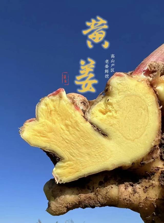 云南小黄姜：厨房与生活的安心陪伴