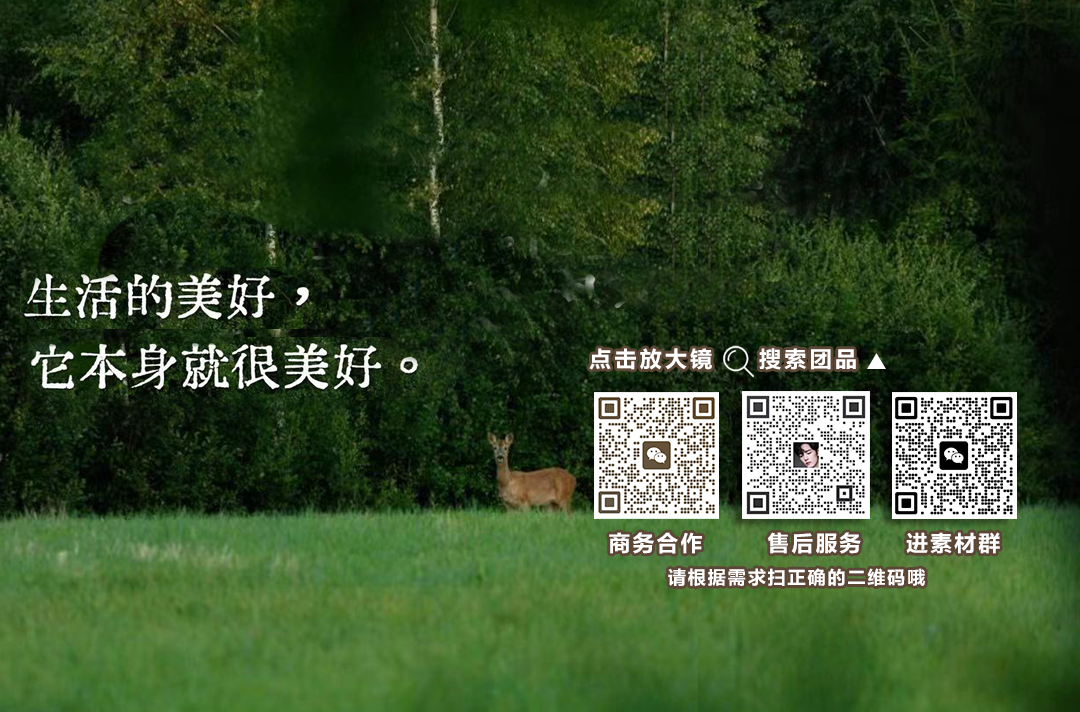 🌟Echo园艺生活优选·🌟进群好礼 的封面