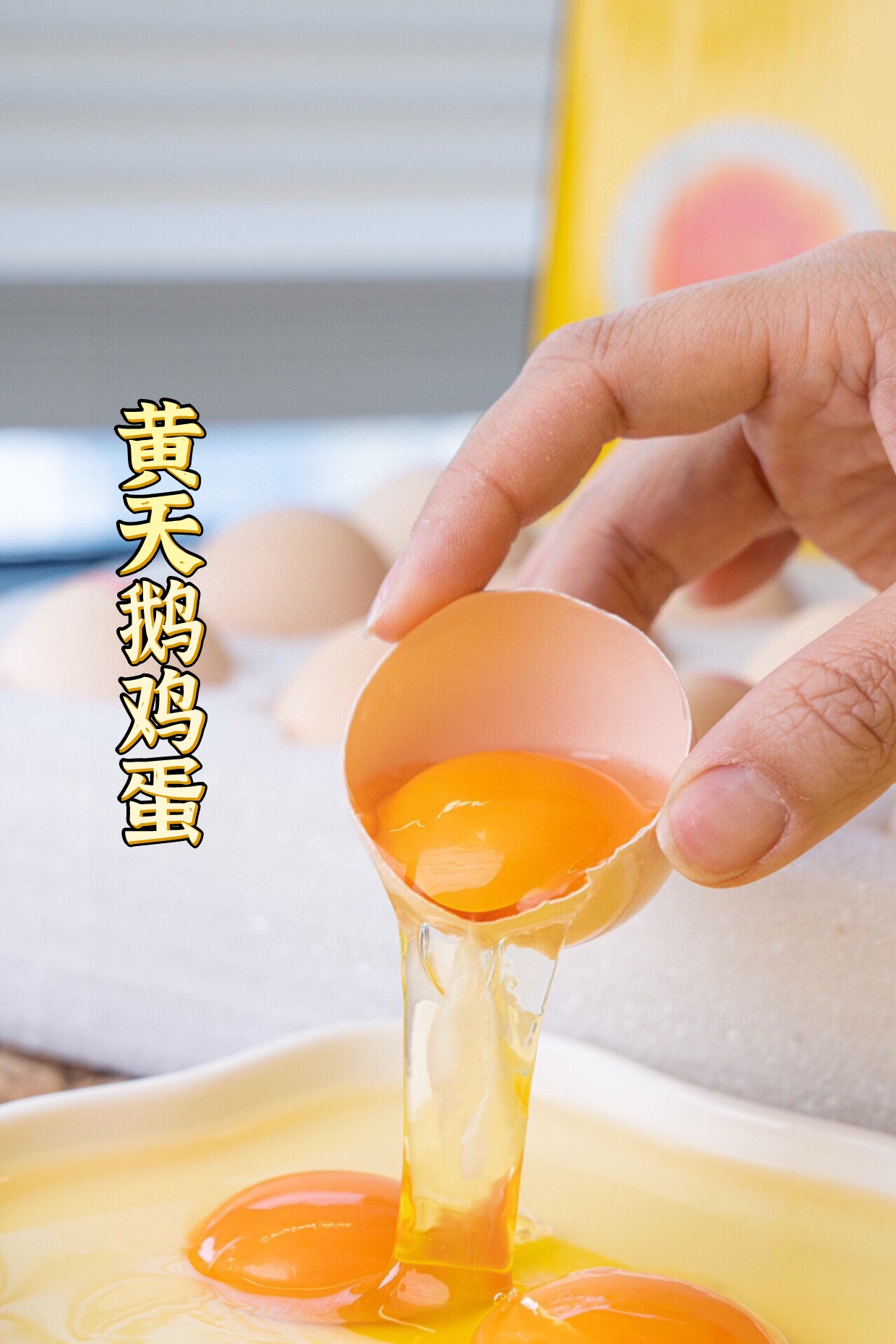 黄天鹅鸡蛋：一枚蛋里藏着的温柔革命