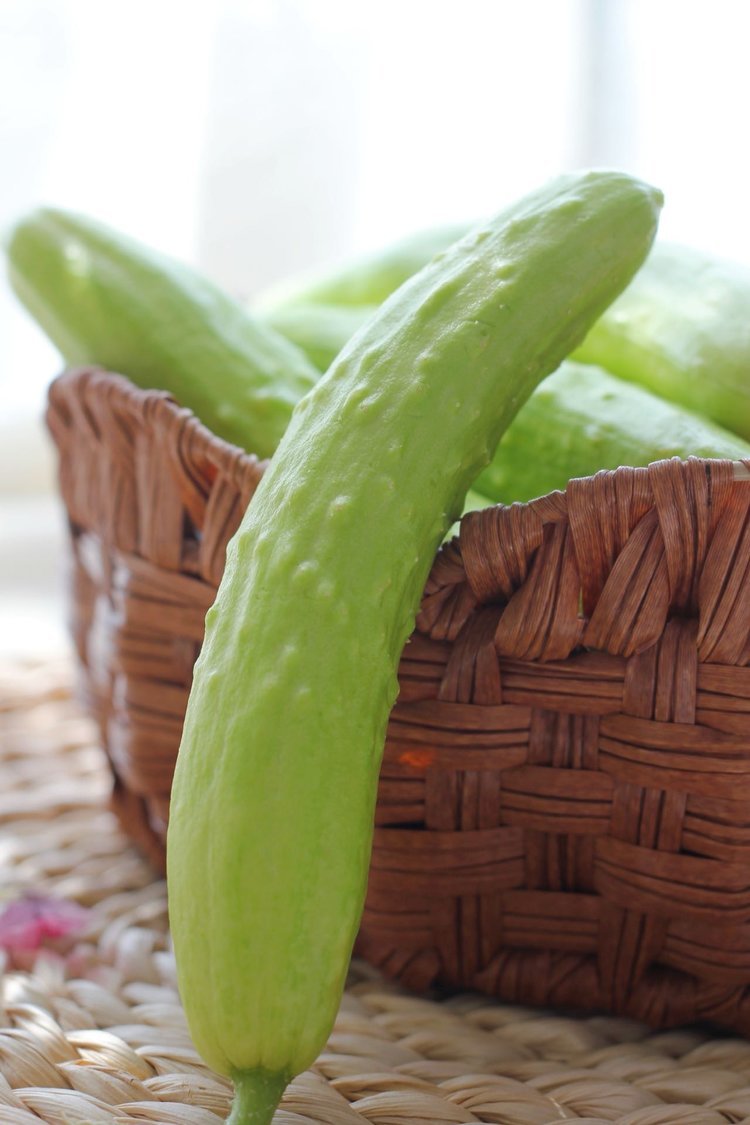 半坡阳光白玉黄瓜：北纬37度的清甜馈赠