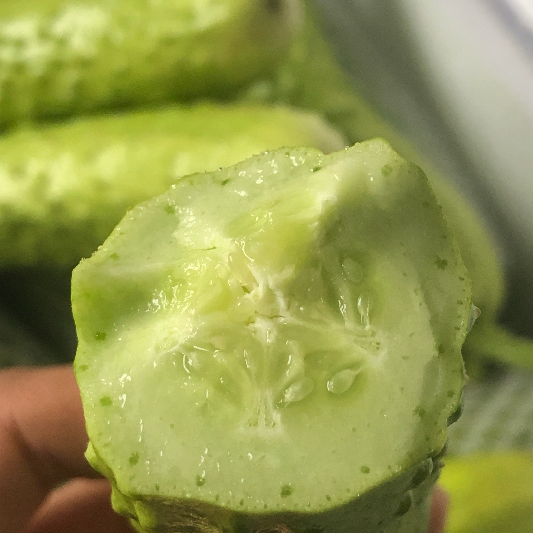 春天的味道：牛奶白玉黄瓜