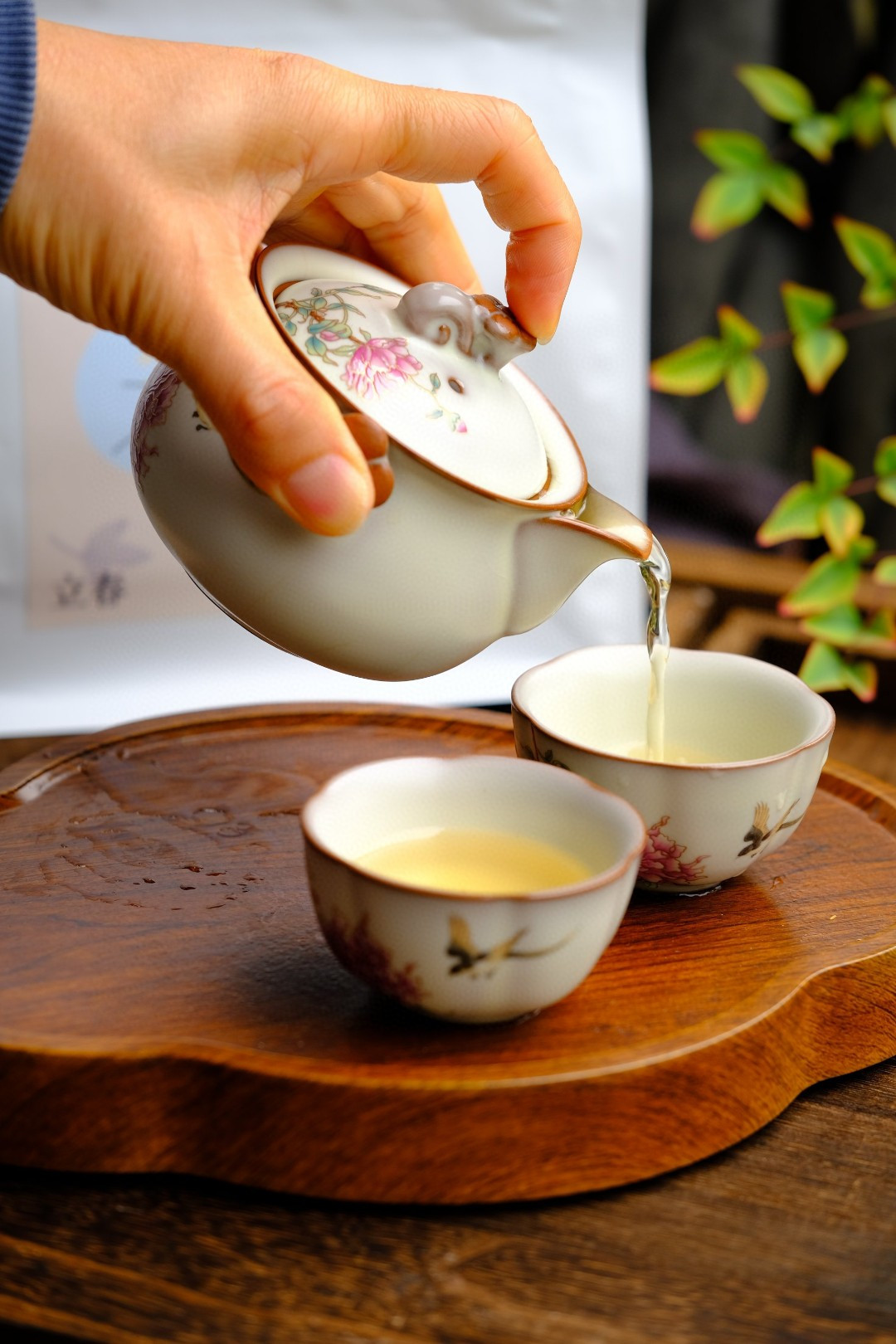 节气养生黄金期🌿元若曦茶饮助您疏肝祛湿、静心安神