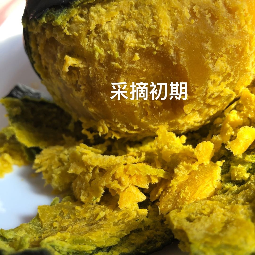 当贝贝南瓜遇上糖炒栗子：这份秋日限定的粉糯香甜