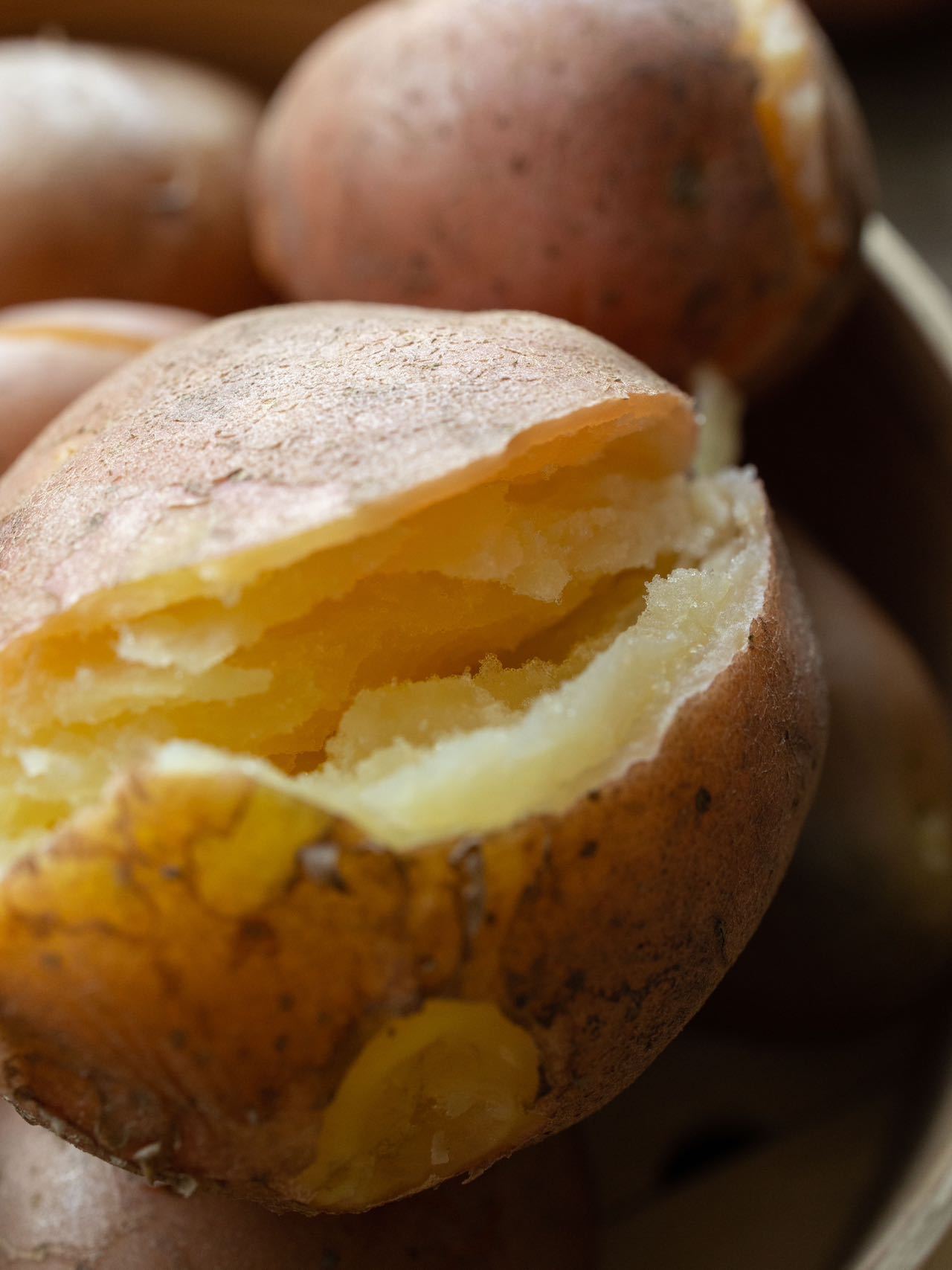 大福的土豆：雪山脚下的宝藏