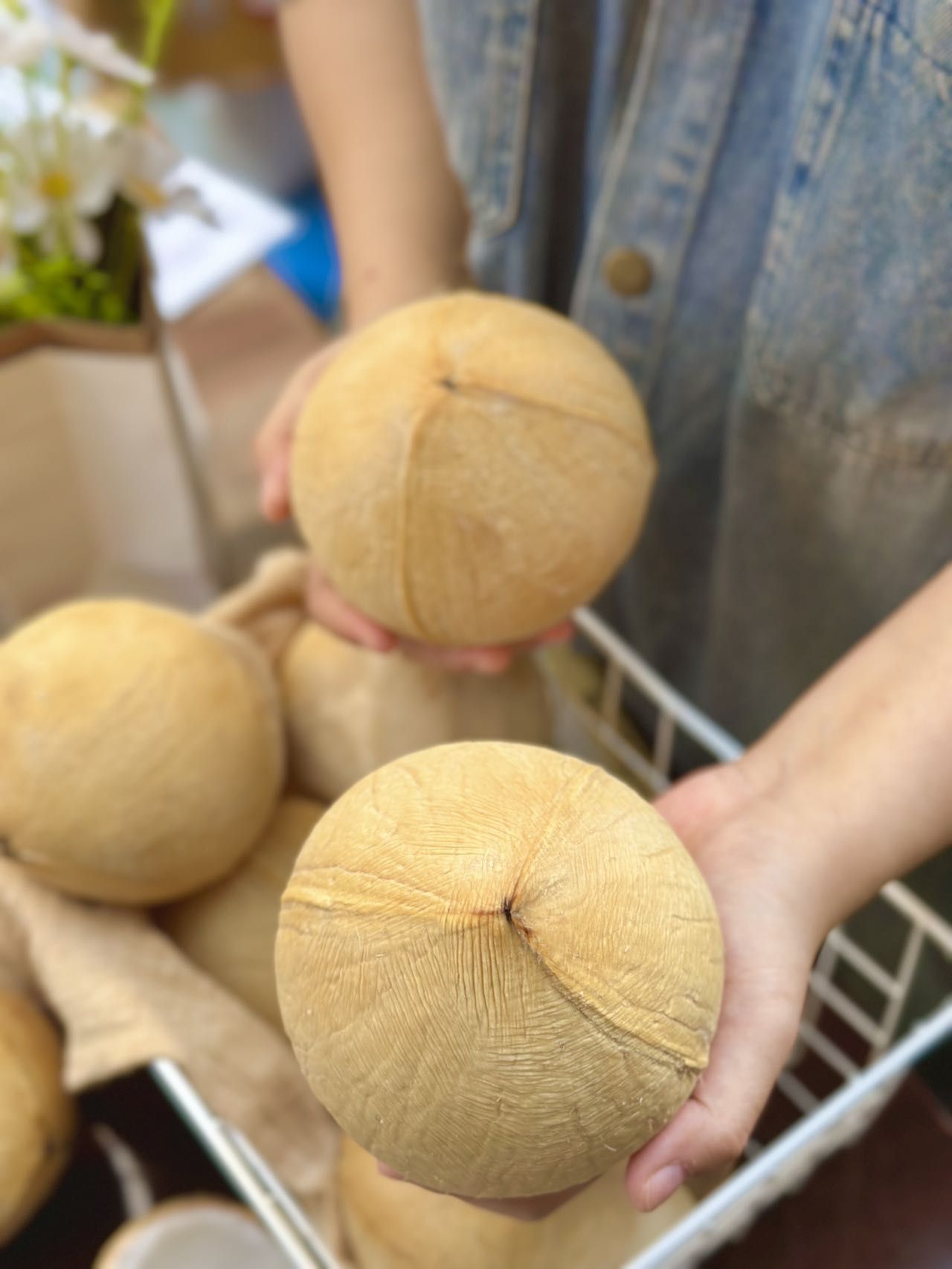 泰国奶香椰皇：树梢坠落的天然奶罐