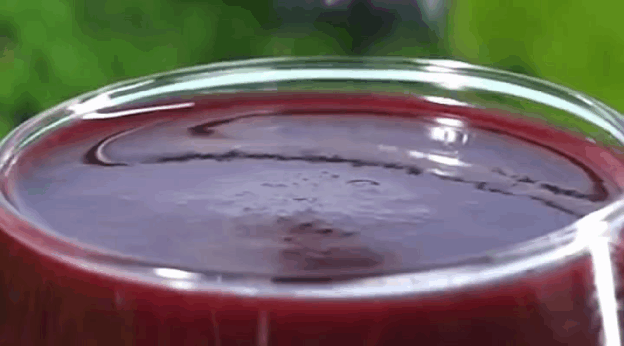 护眼人的蓝莓诗经：蓝笑有机原浆里藏着50颗星空