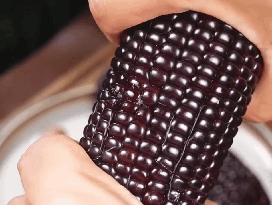 甄棒黑糯玉米：东北黑土地里长出的紫玉传说