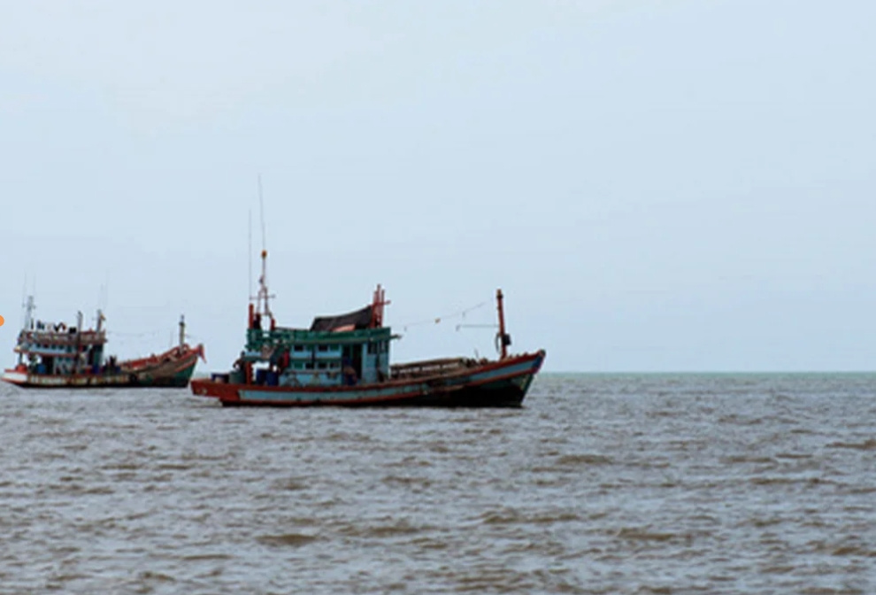 『林小丫花枝丸』：咬一口，海浪在舌尖跳舞