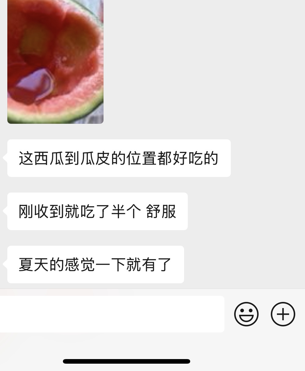 冰淇淋手撕西瓜：从黄河岸边吊出来的春日甜蜜