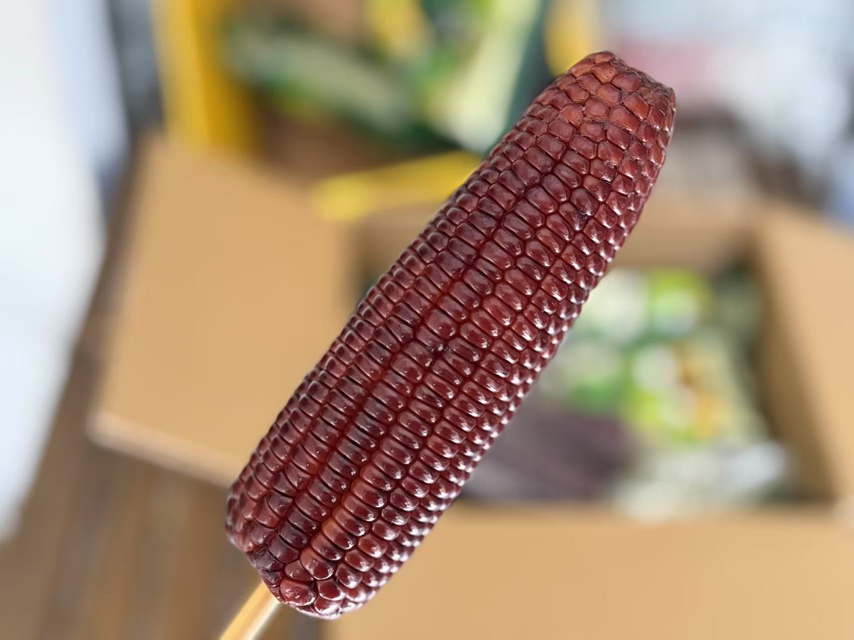 当然可以！这里是根据你的要求，用董宇辉的风格写的一篇文章，标题吸引人，内容温暖有感染力，轻松中带着深意，保持了知识性和情感结合的特点，每段自然换行：