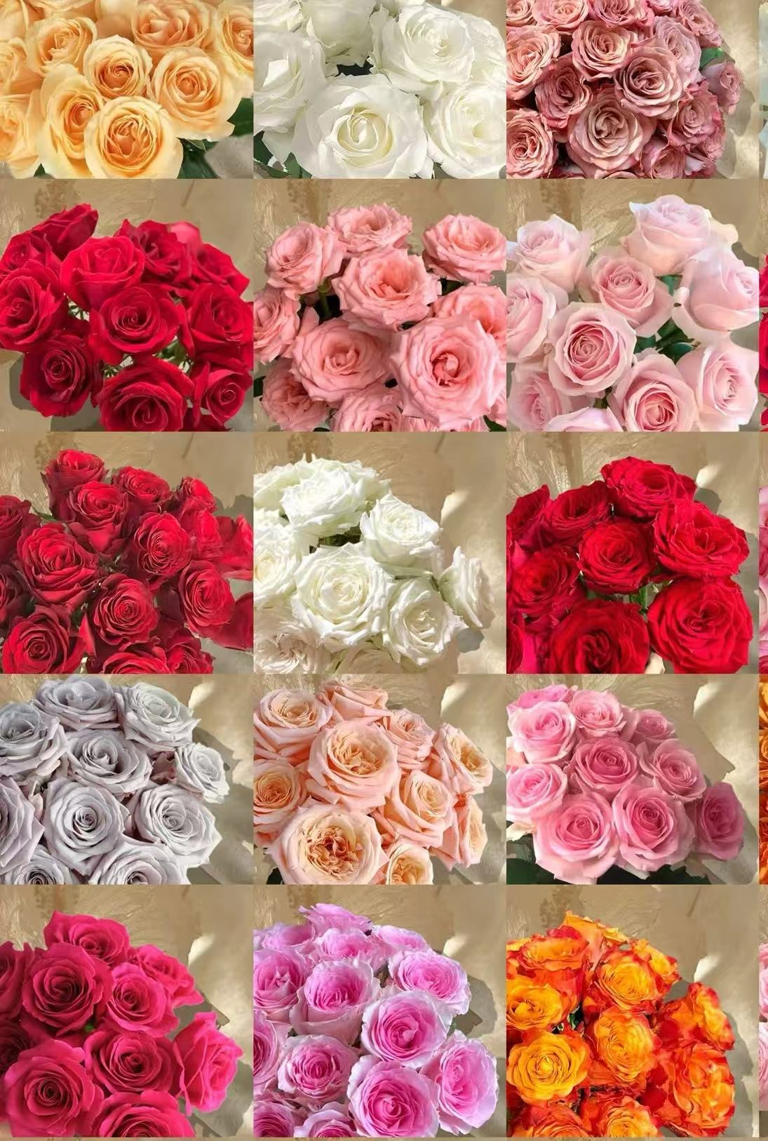 花妍的花 | 群内实拍，订阅有奖 的封面