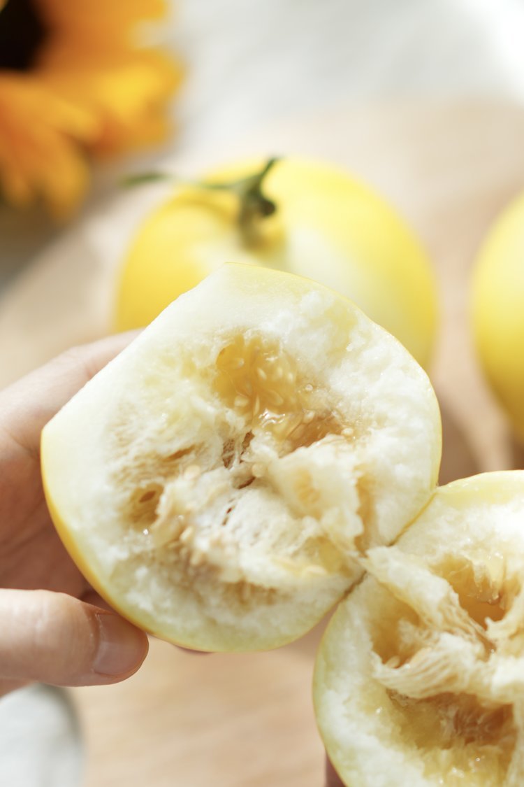 蜜蜂糖甜瓜：春天里的甜蜜邂逅