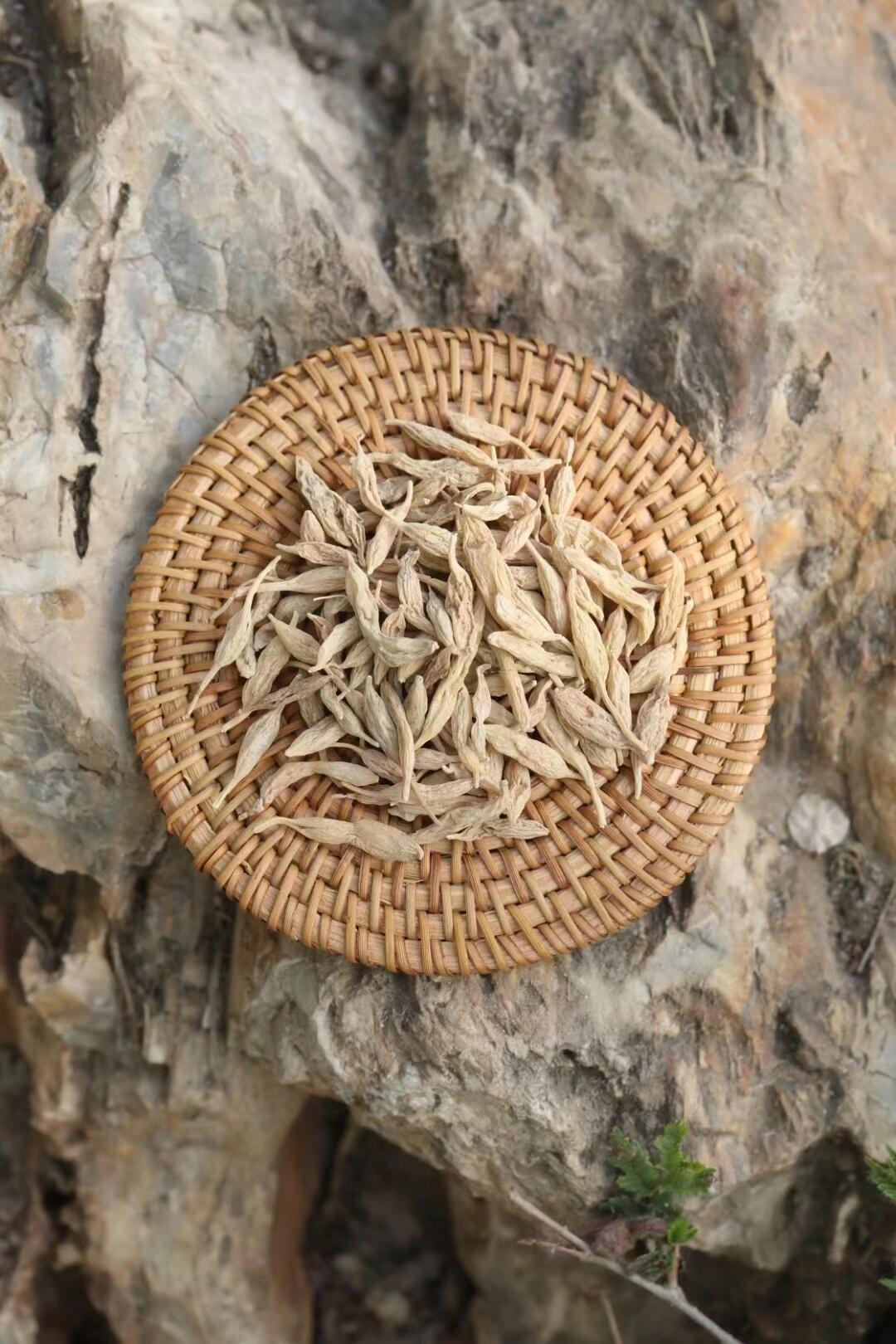 云南野生麦冬：在本草纲目的智慧里，遇见山野的温柔