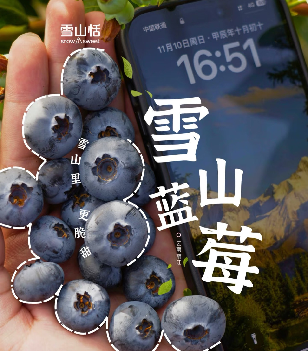 雪山恬蓝莓：纯净的滋味，犹如雪山之心