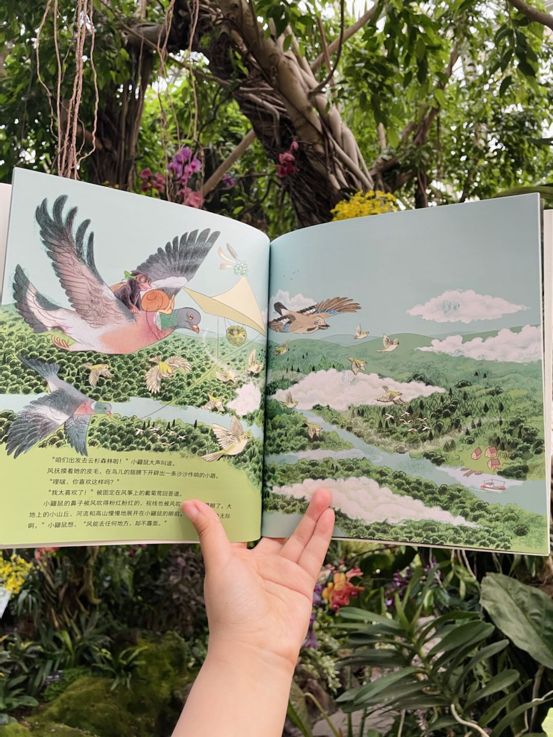 大自然的魔法课：一套孩子看了会沉默，家长看了会心软的绘本